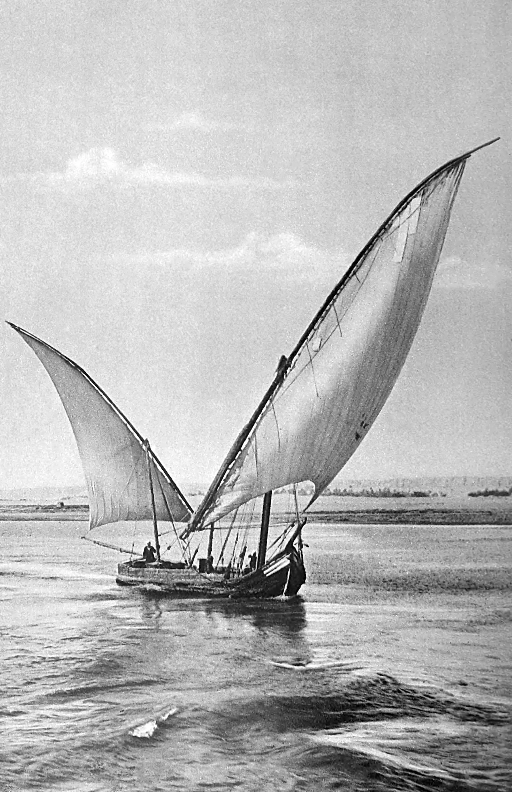 Felucca, with its lofty sails is the general burder bearer of the Nile