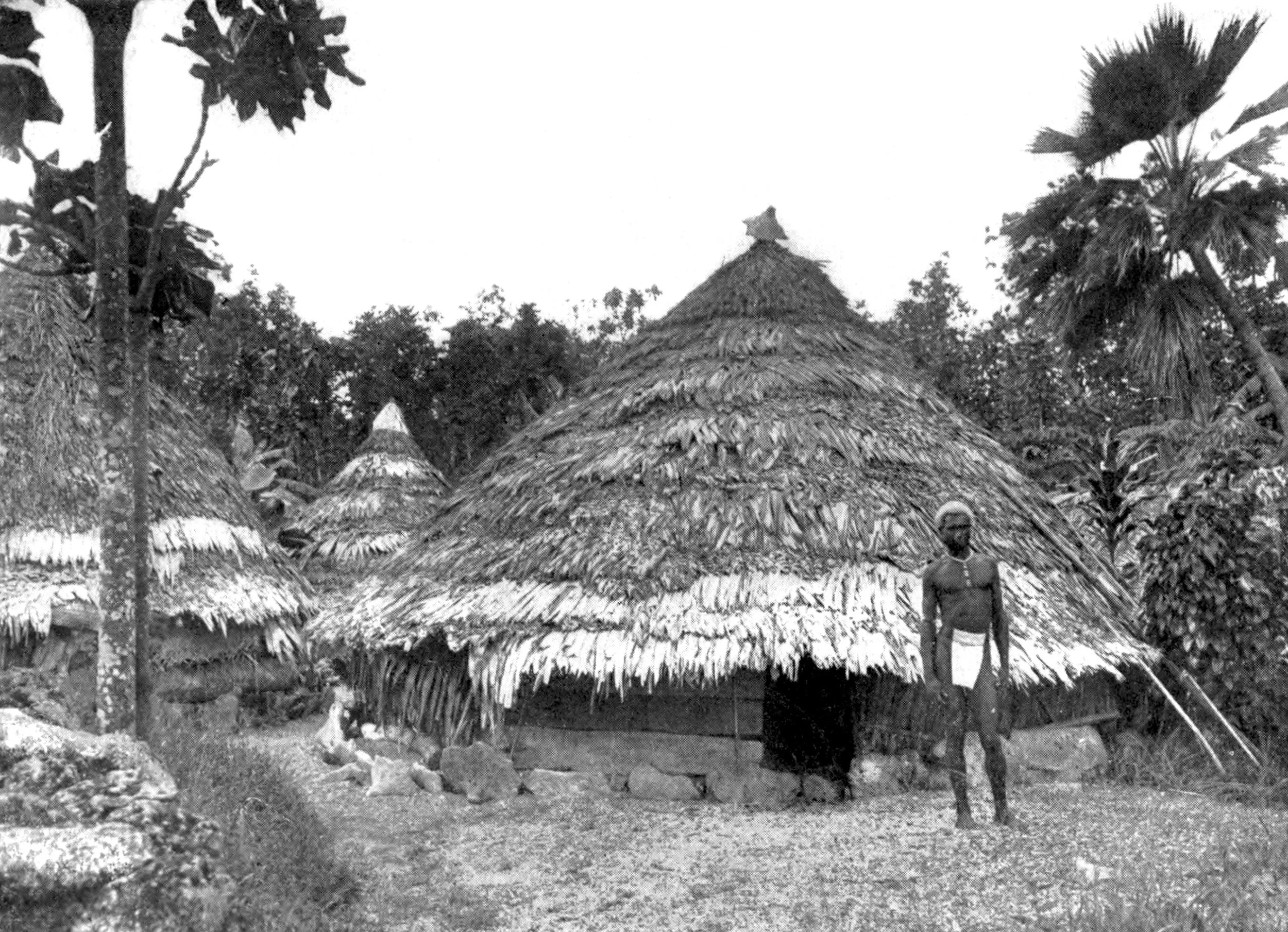 A Te Motu Round House- Oceania