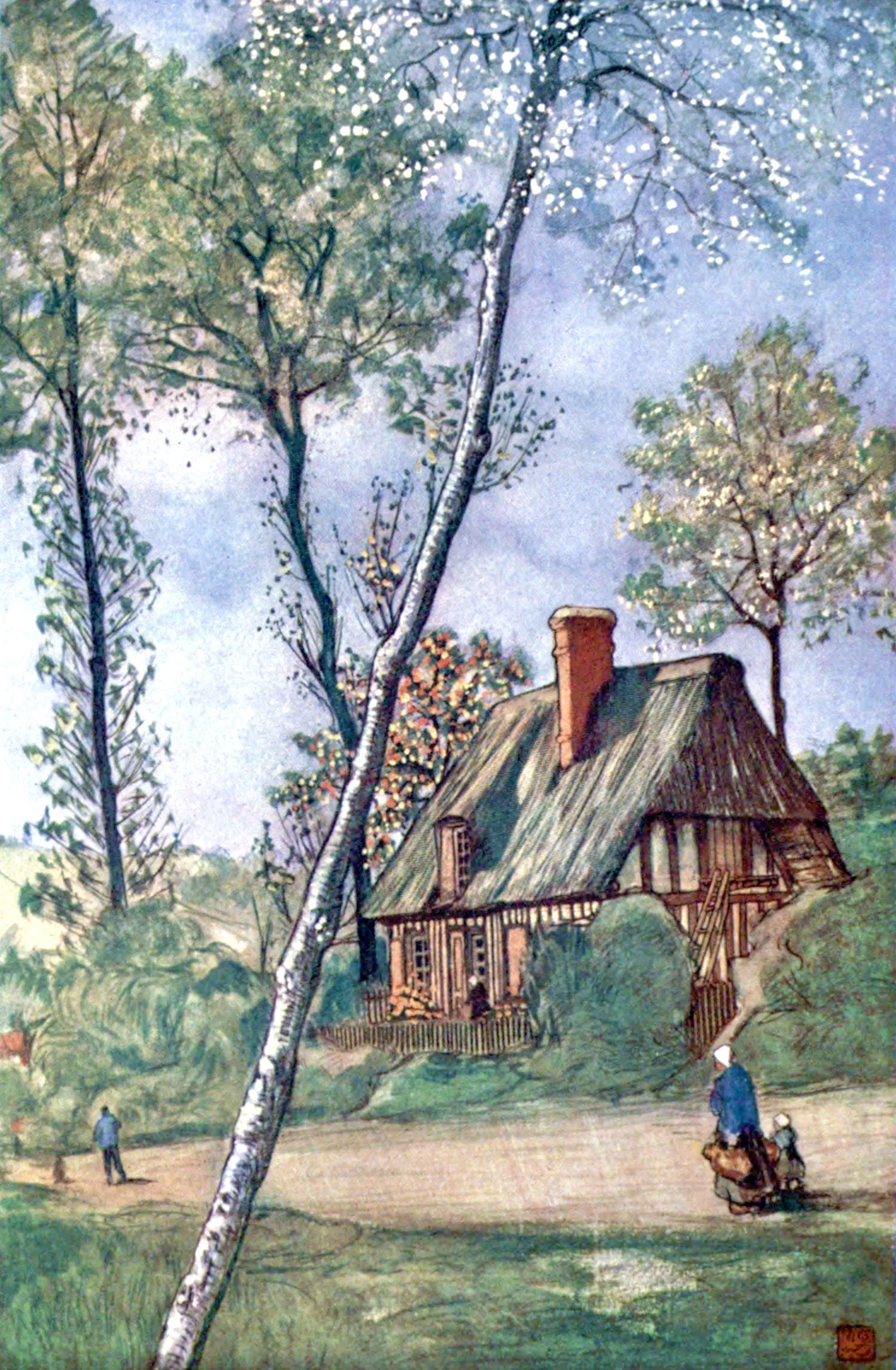Rural Scene