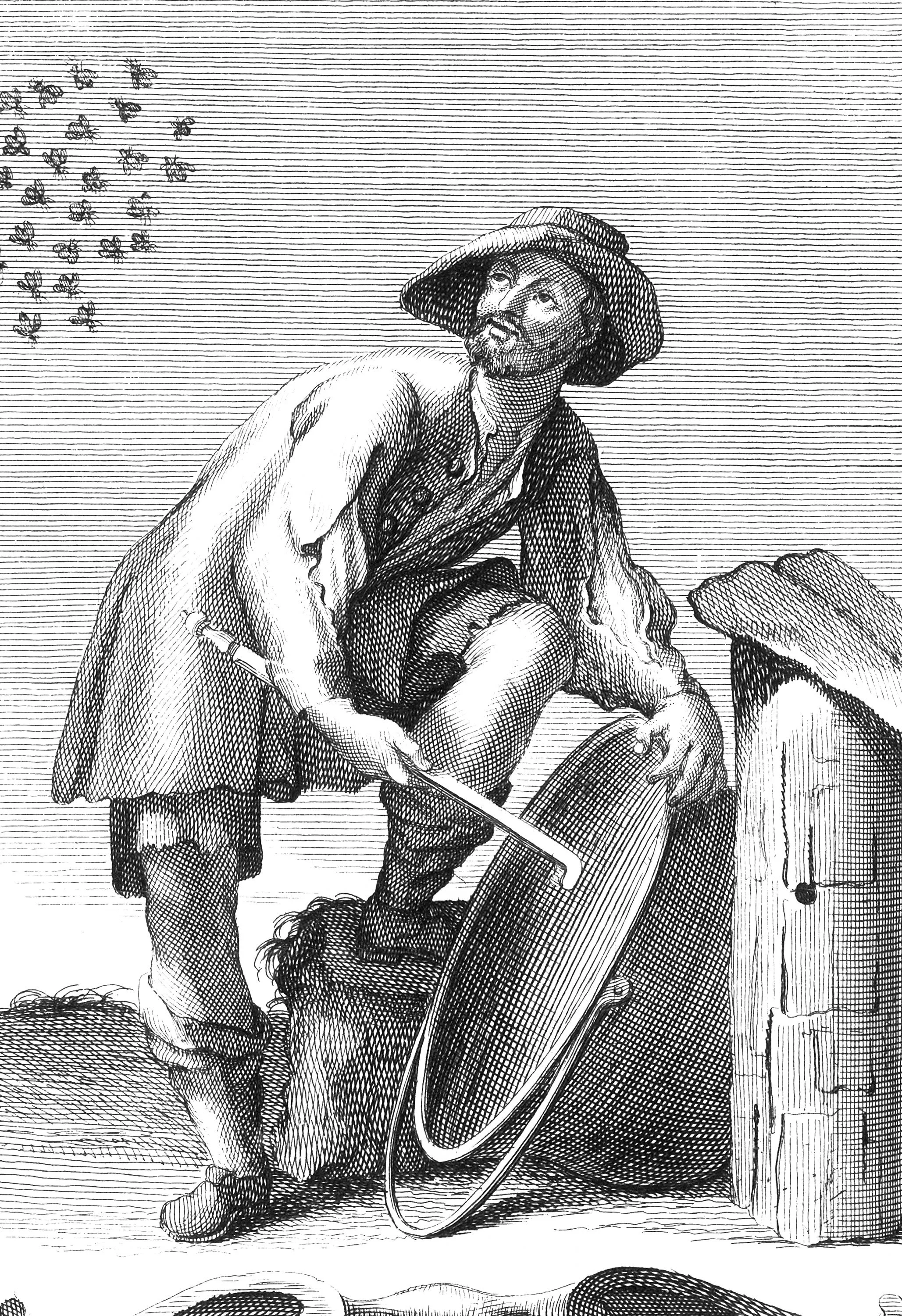 Bee Keeper's Instrument