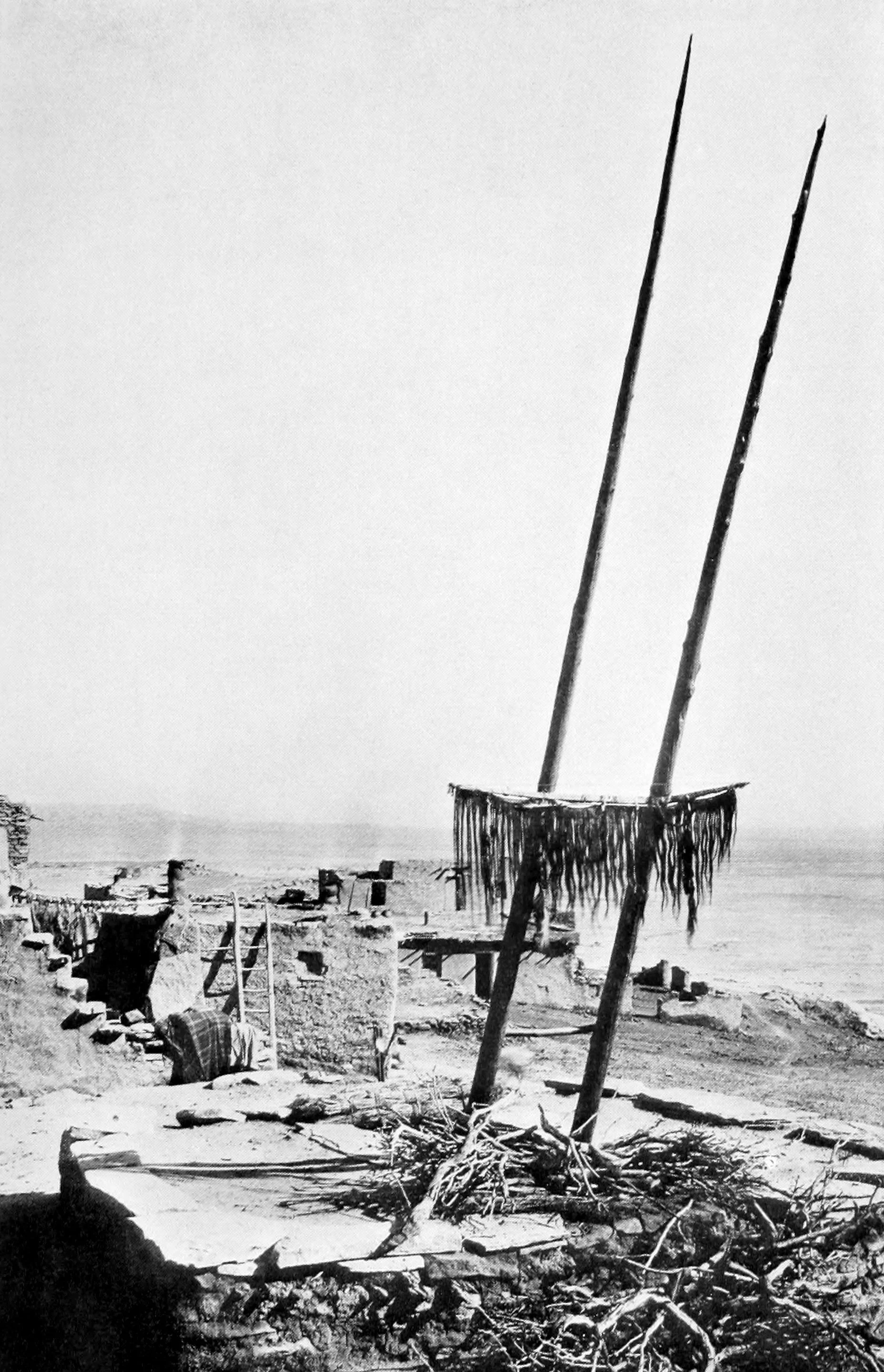 The Bow Natsi in Position