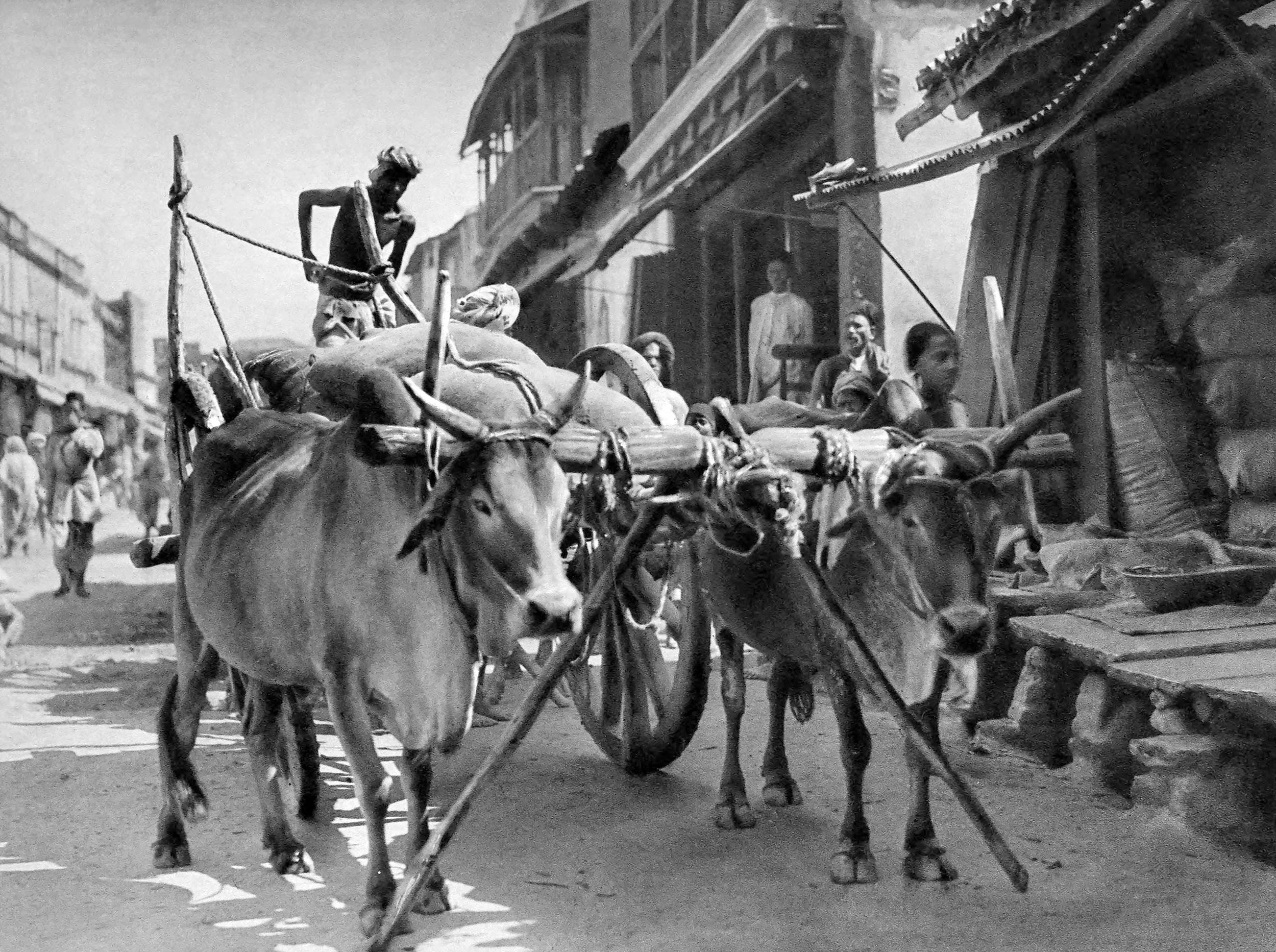Hyderabad-Deccan. Street with Bullock-dray