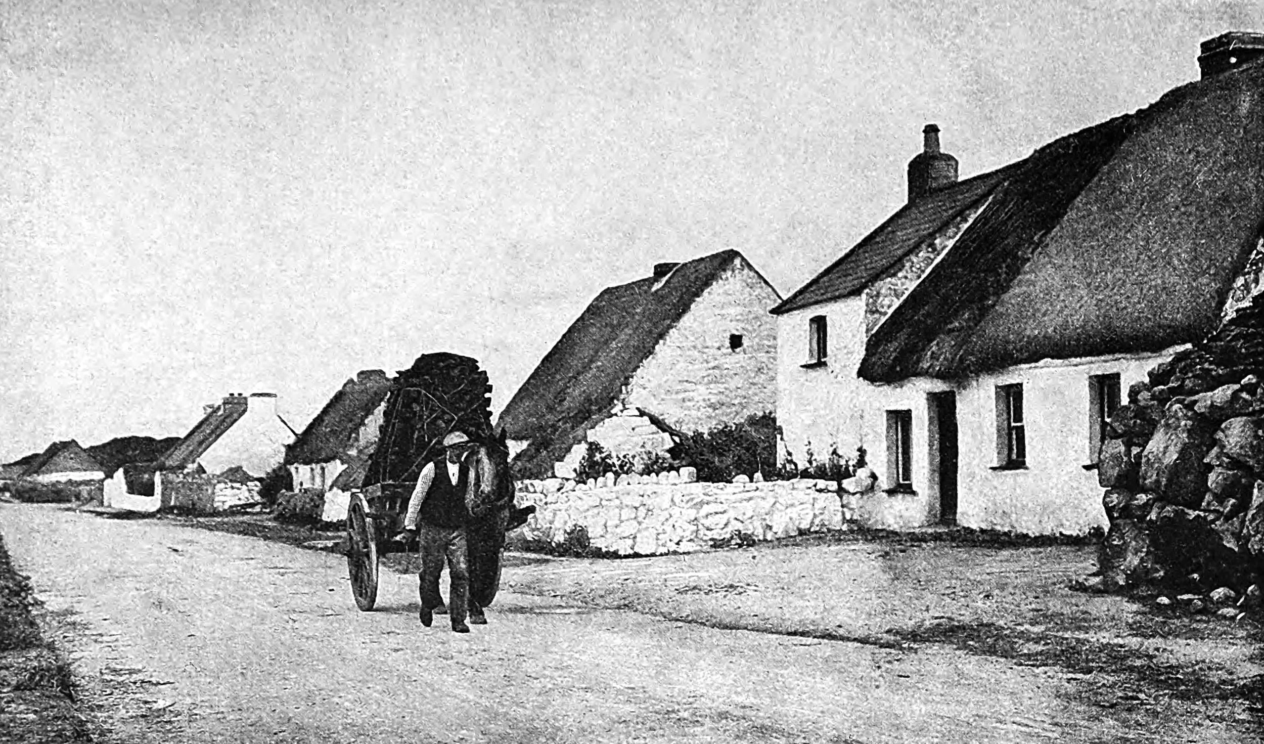 Hauling Cut Peat Home to Barna, Ireland