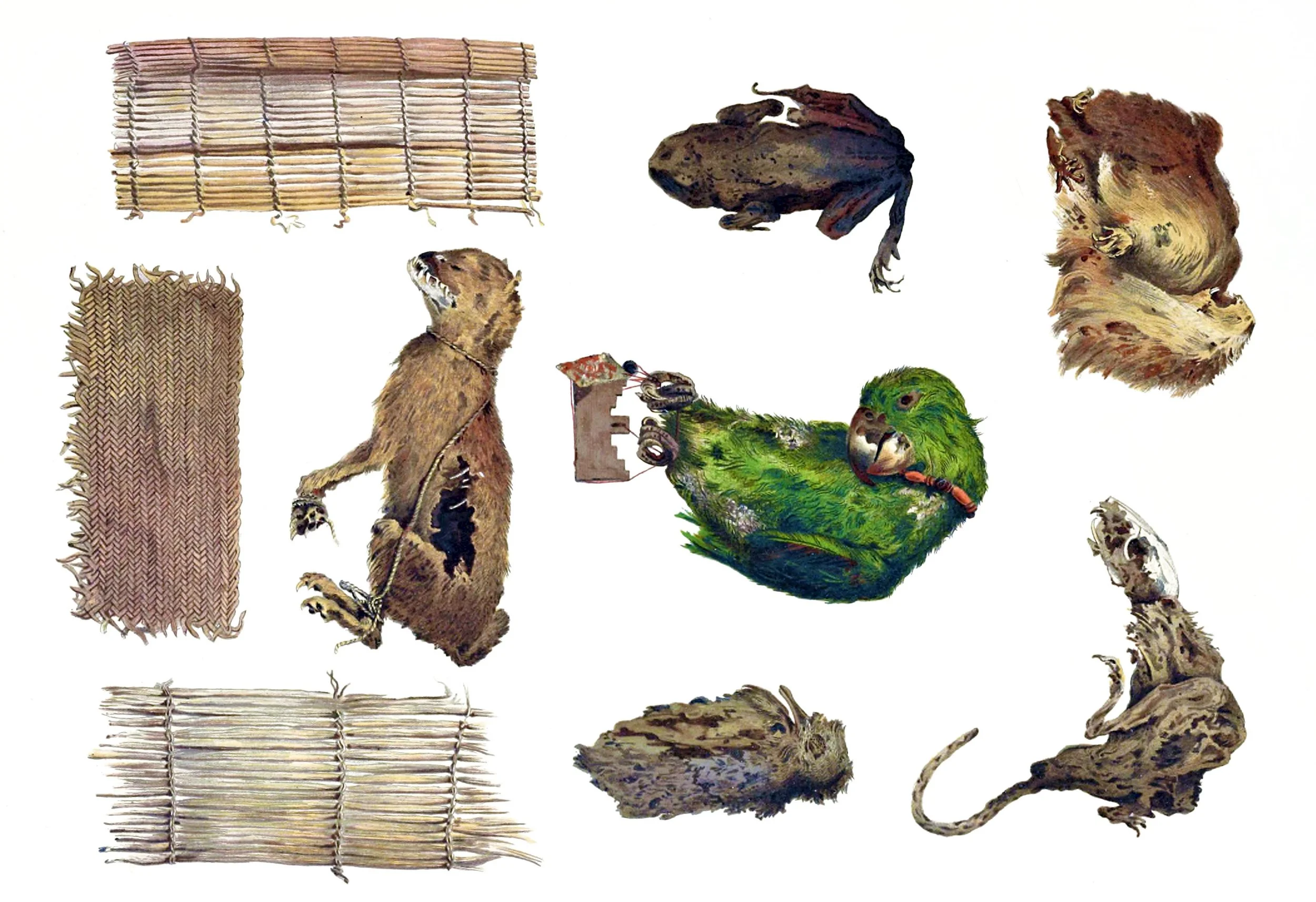 Animals as Sepulchral Offerings. Matting Used at Burials