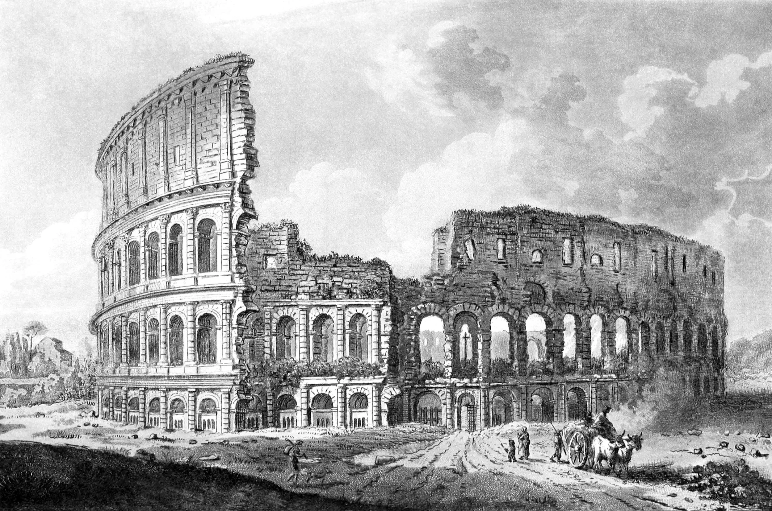 The Coliseum