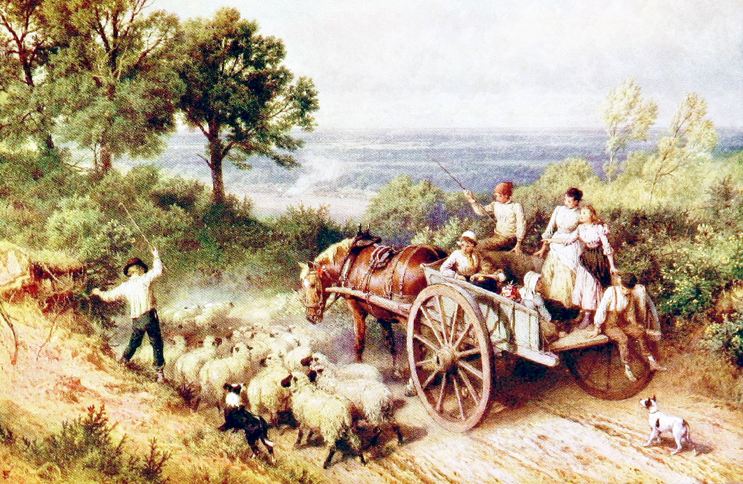 Passing the Flock