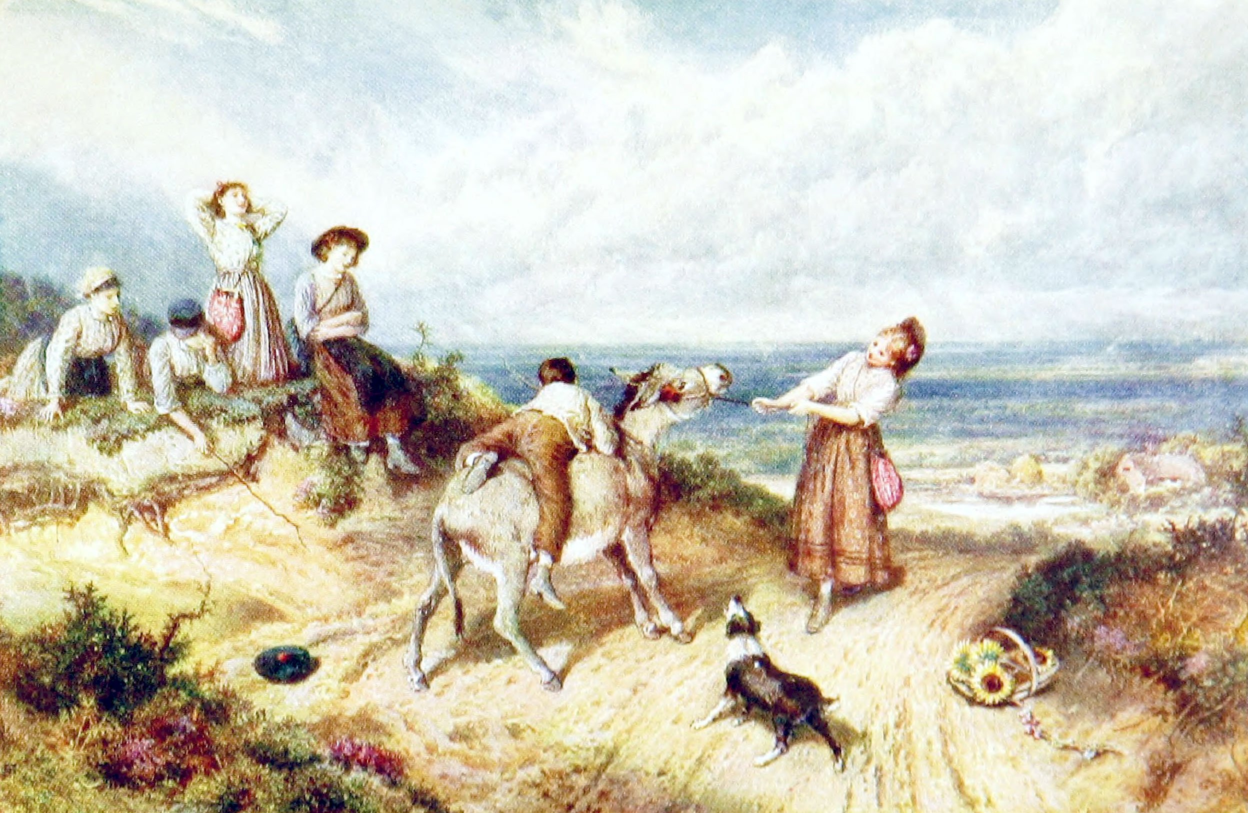 The Donkey that would not go