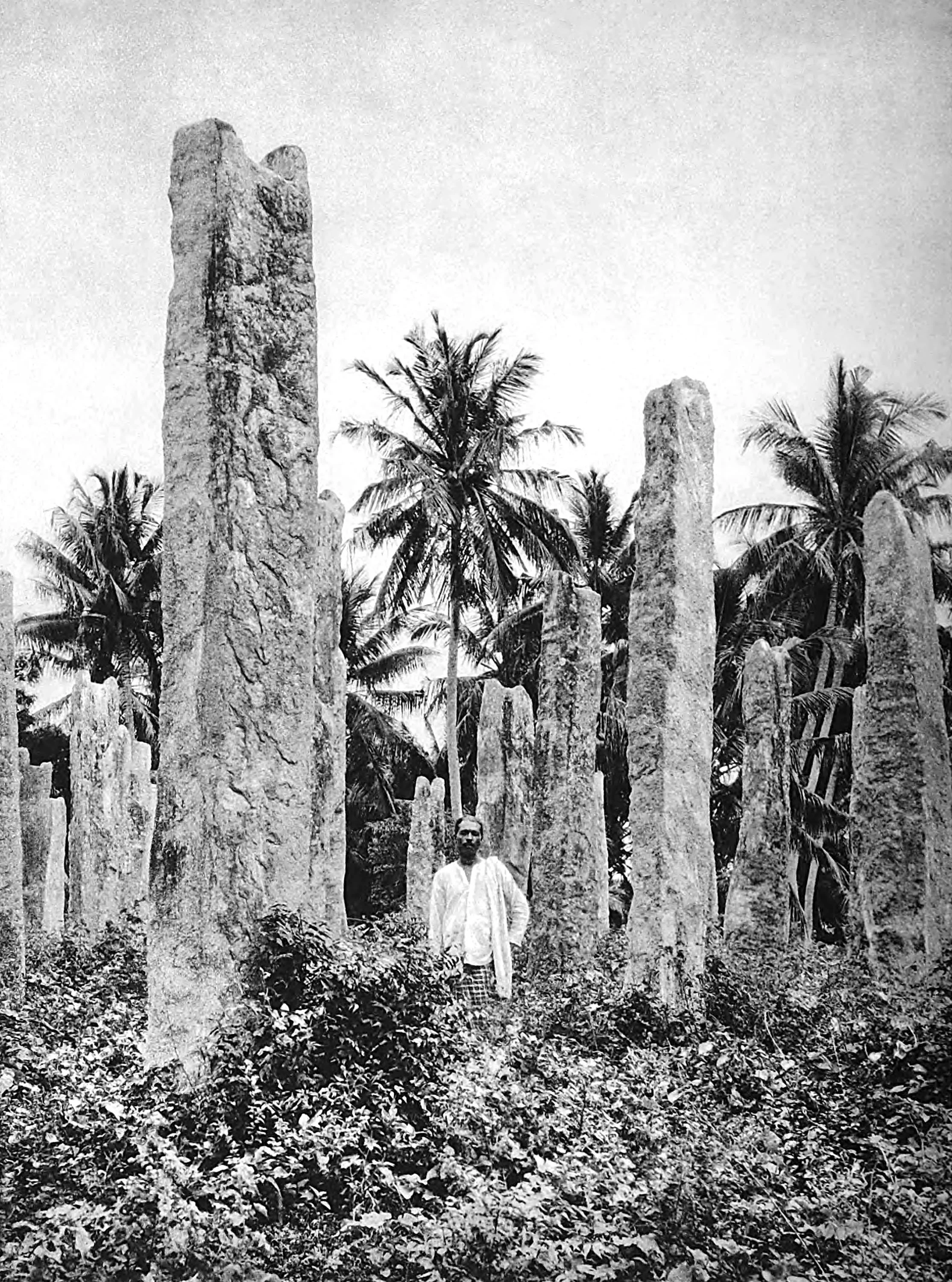 Tissamaharam, Columns of a palace