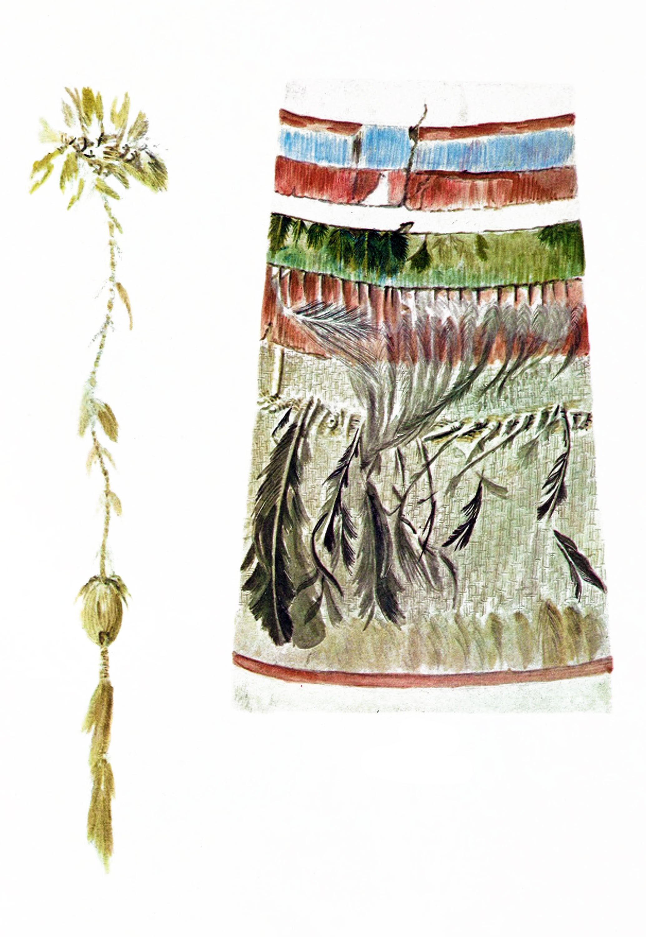 Details of a part of Montezuma's Shield