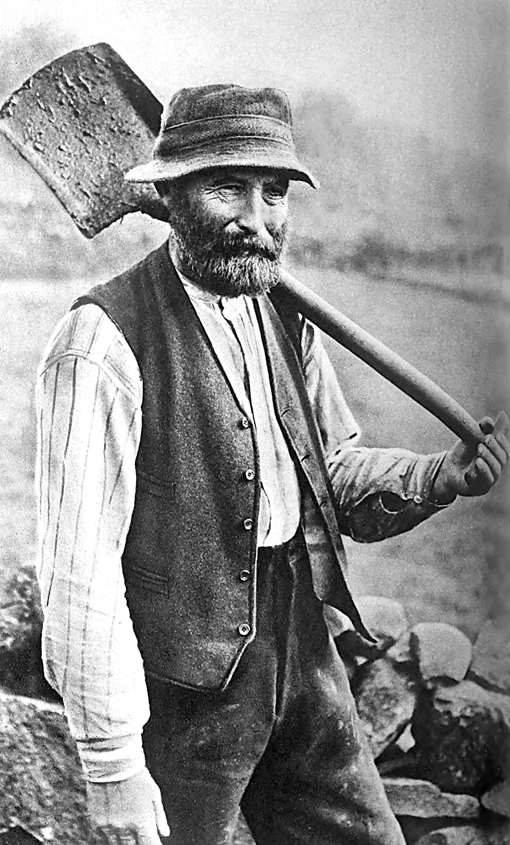 Tending Sheep in Scotland