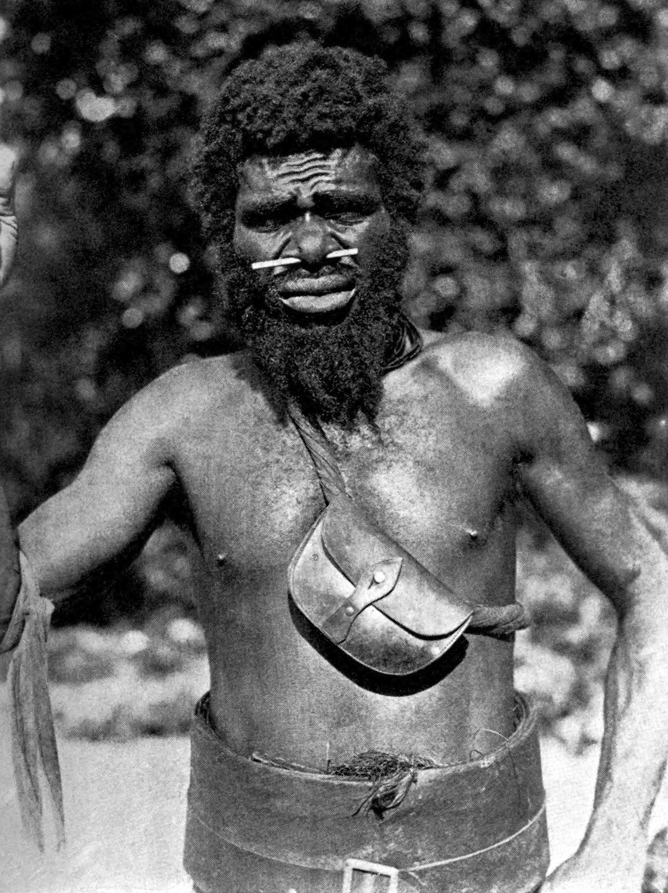 Rambi