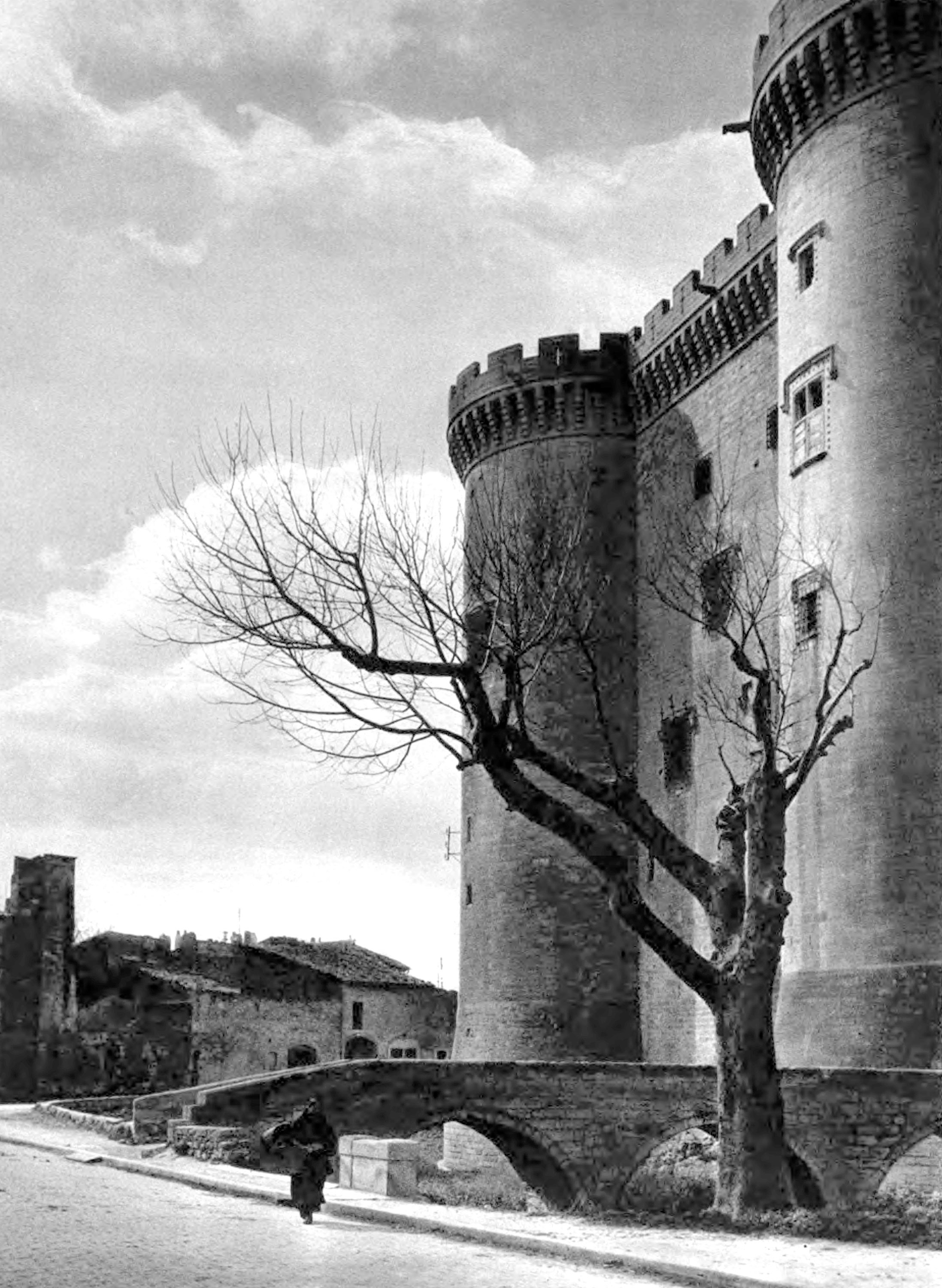 Tarascon, The Castle