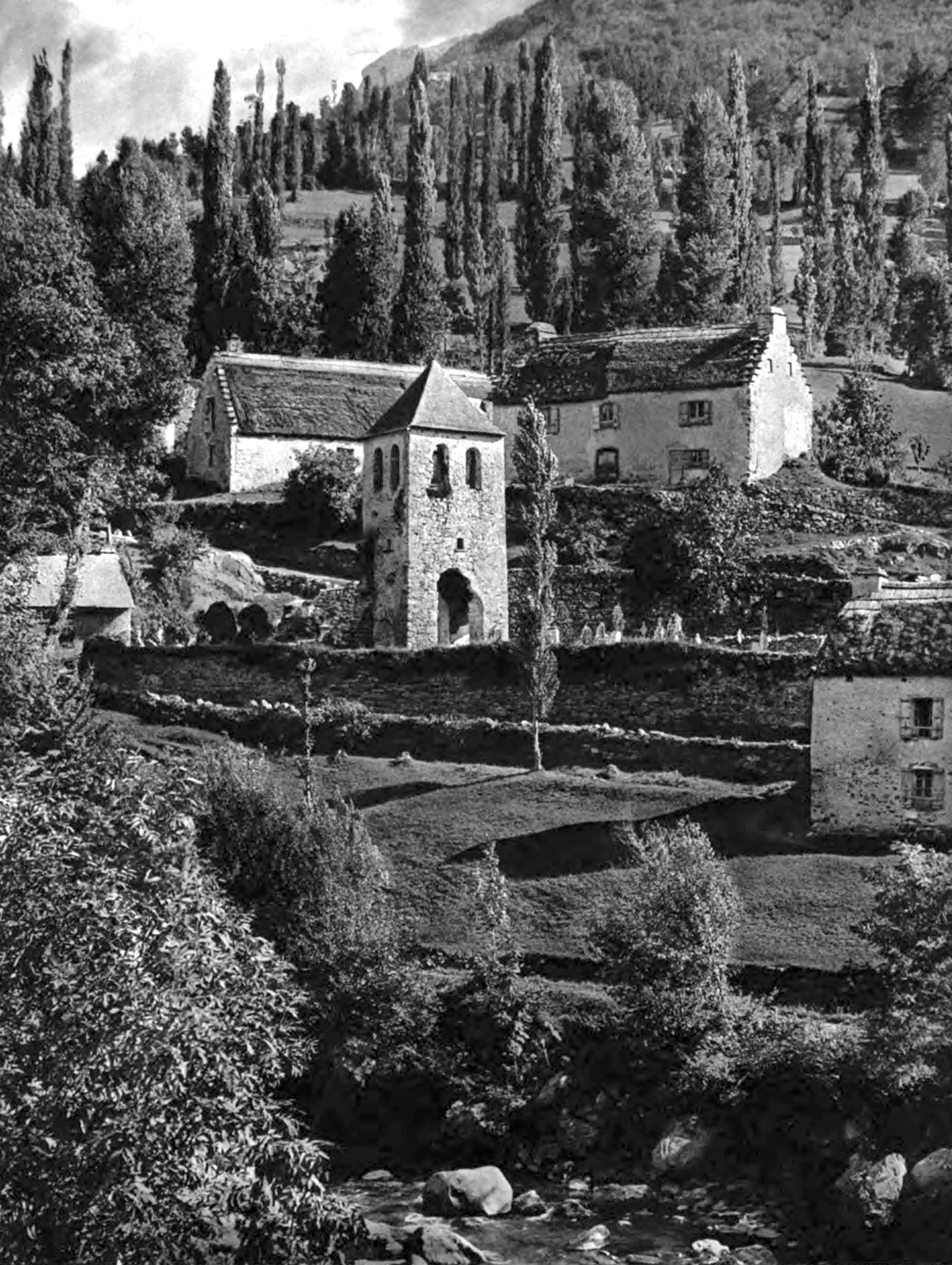 Gedre