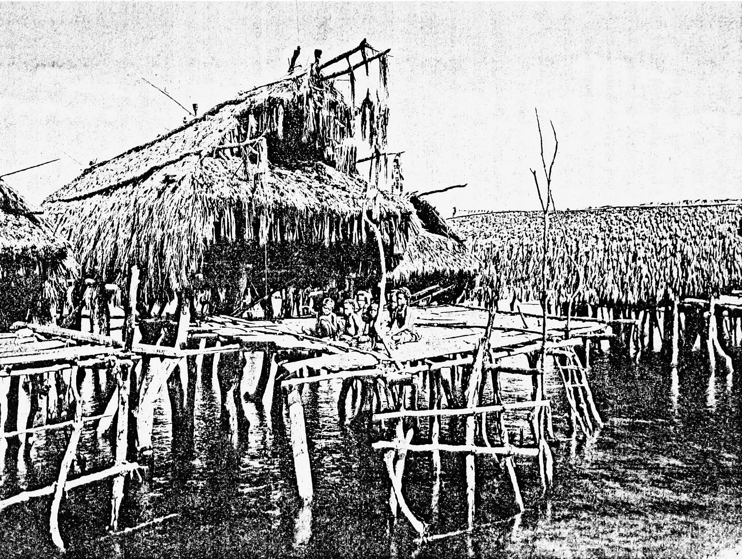 The Chief's House, Marine Village of Tupuselei
