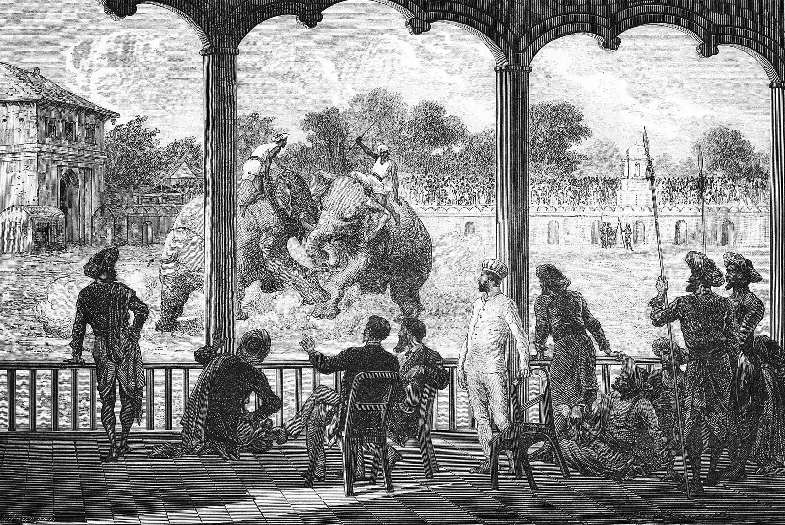 Elephant Fight at Baroda