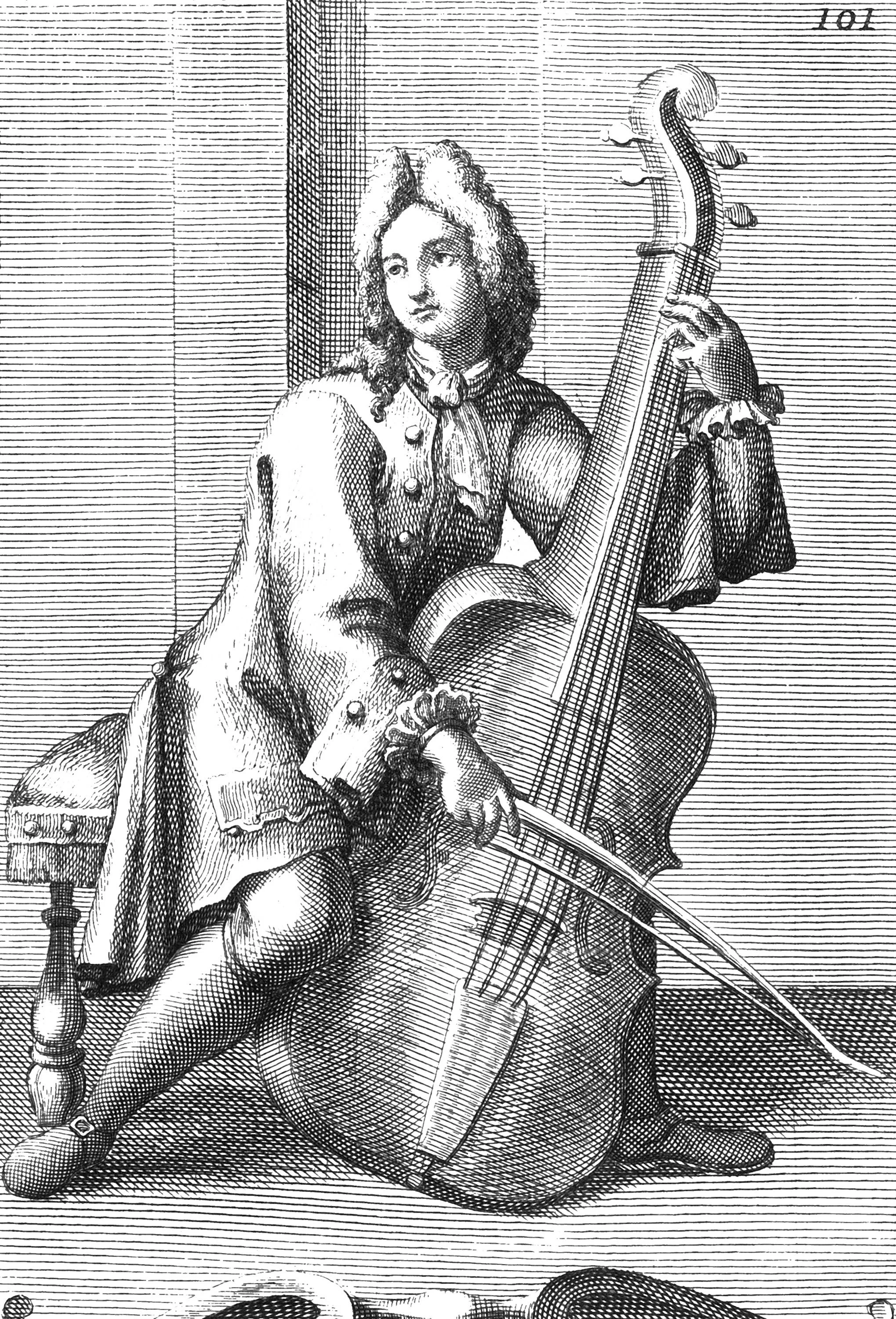 Viola