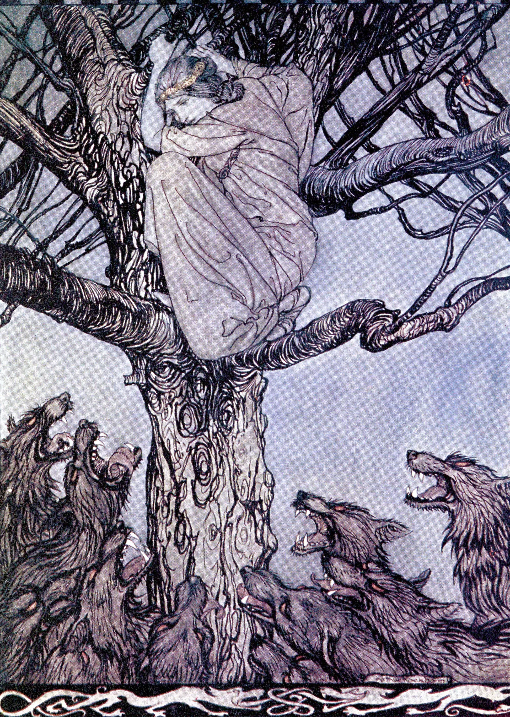 She looked with angry woe at the straining and snarling horde below