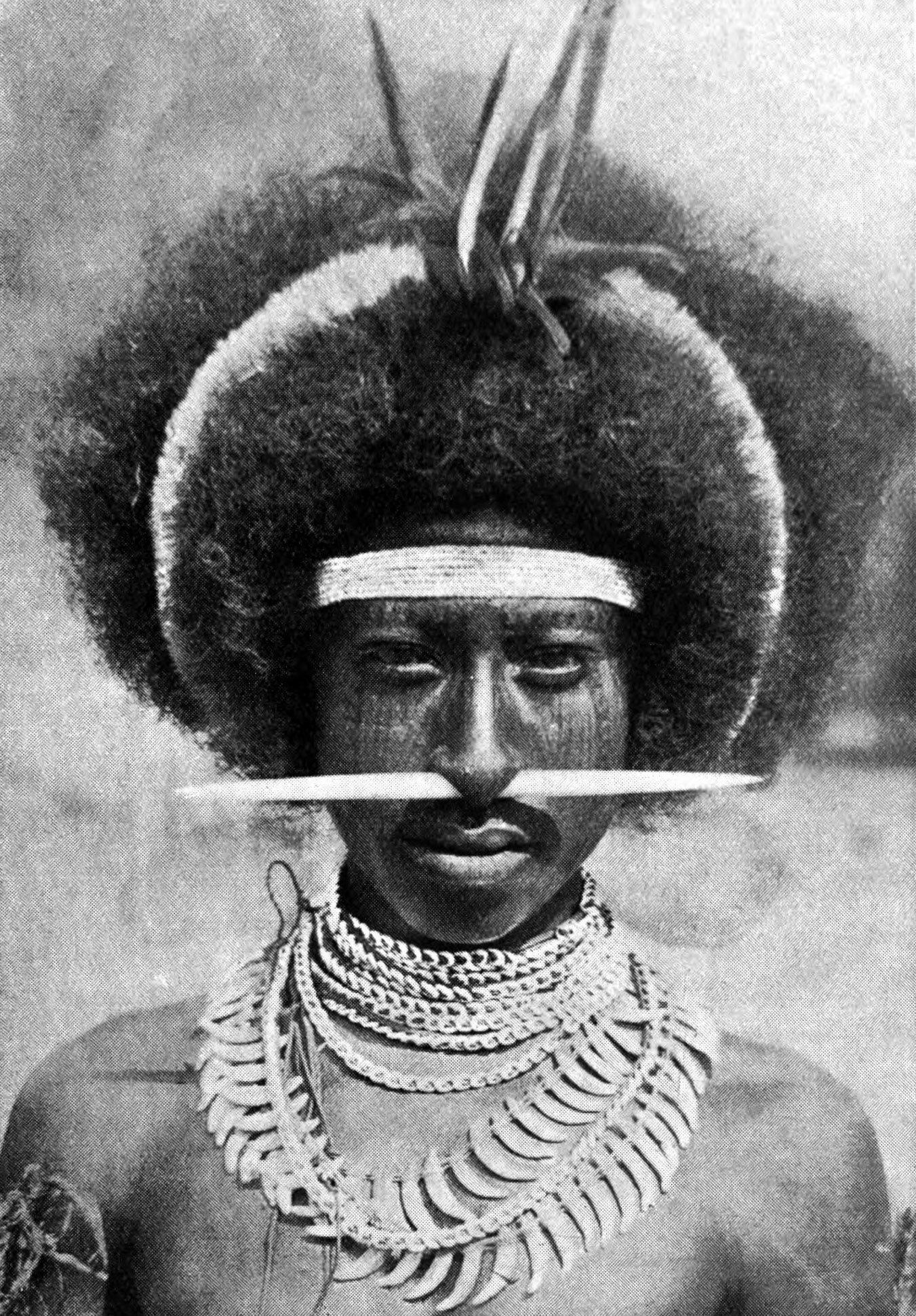 Tima of Delena, a young Papuan Dandy