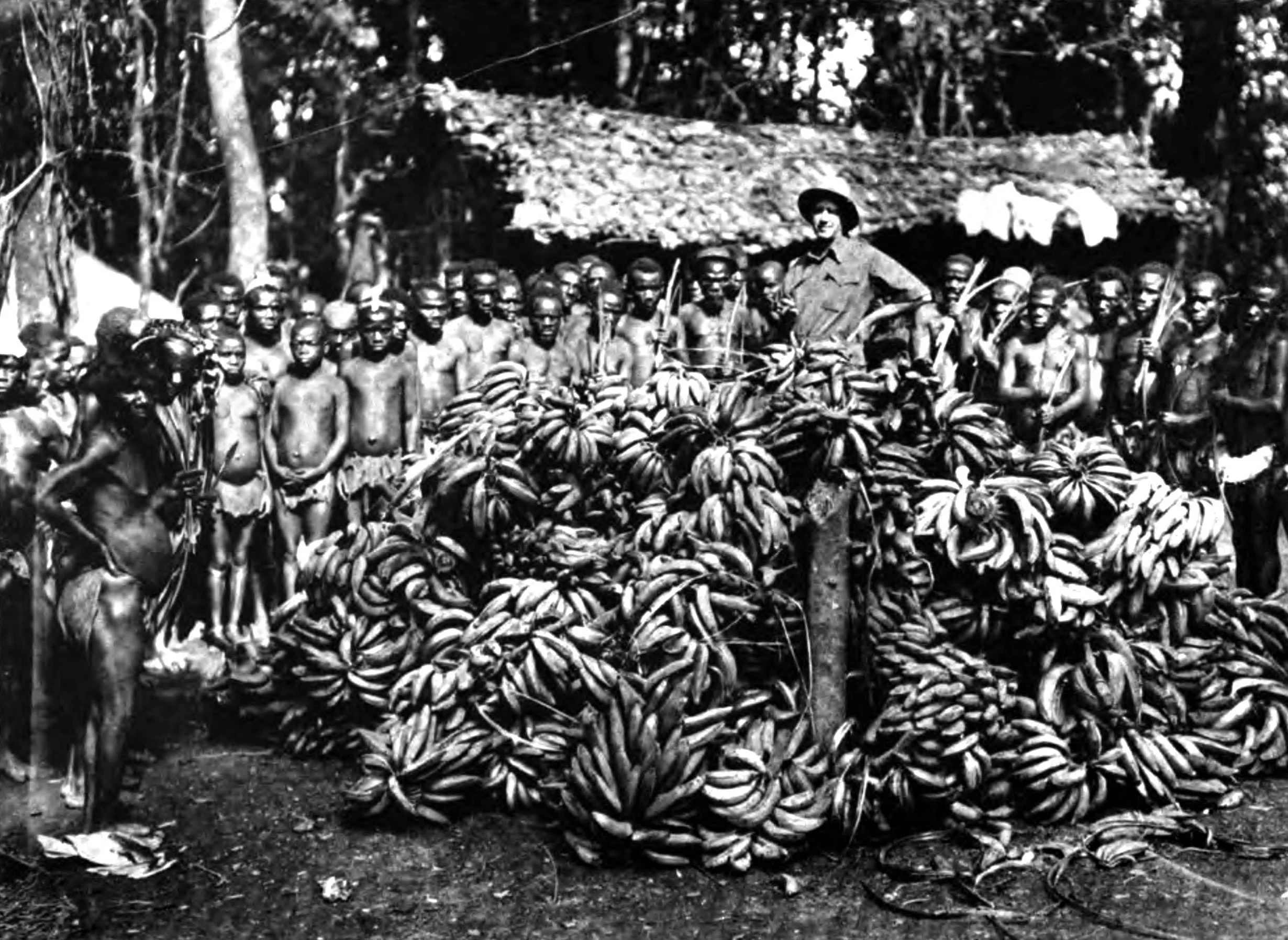 One day's food supply for 500 Pygmies