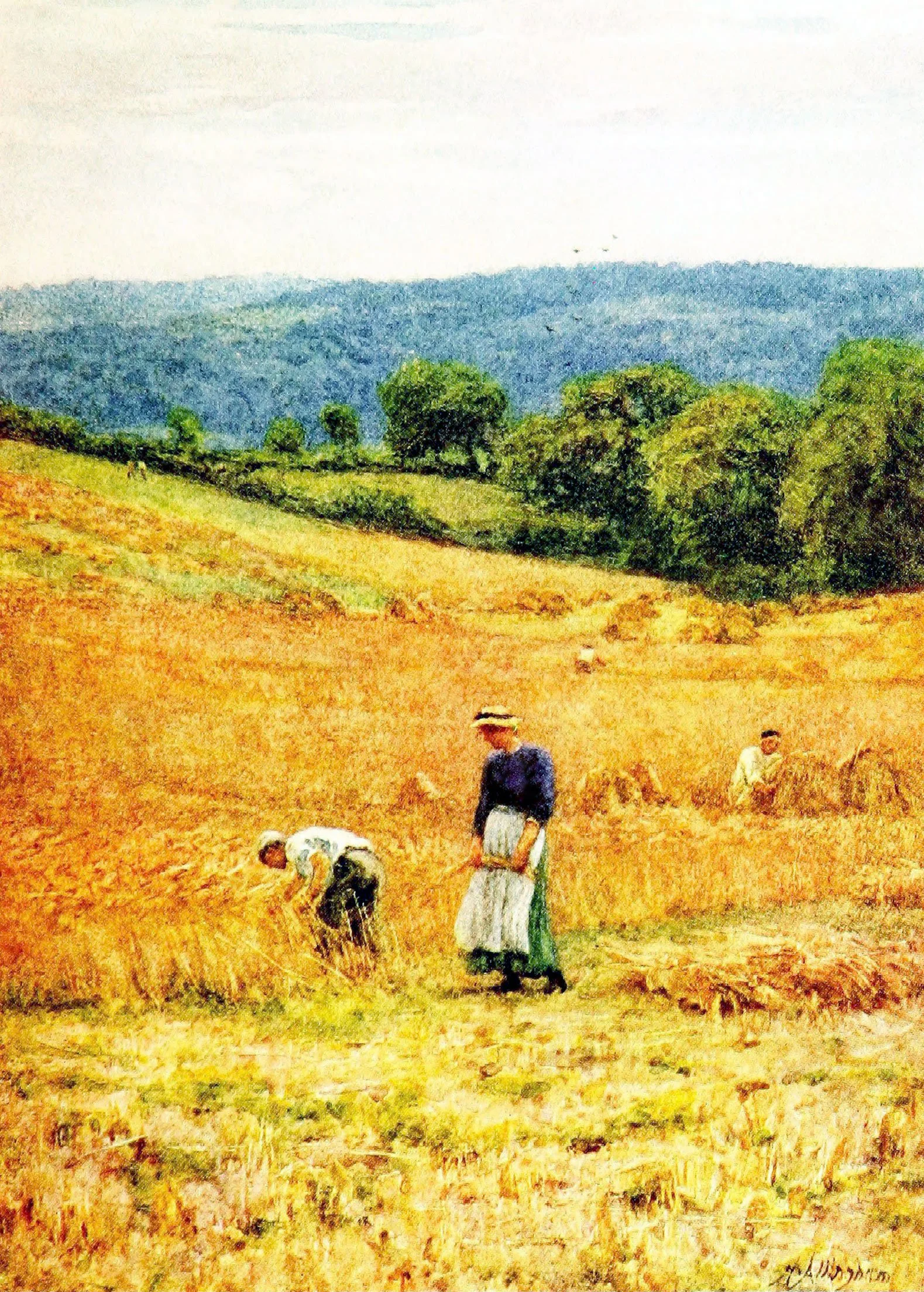 Harvest Field Near Westerham, Kent