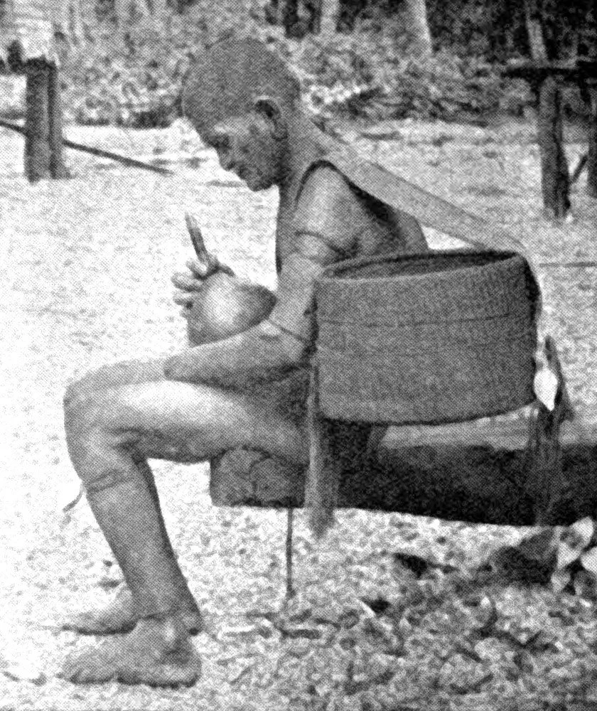 A Woman taking Lime from Gourd