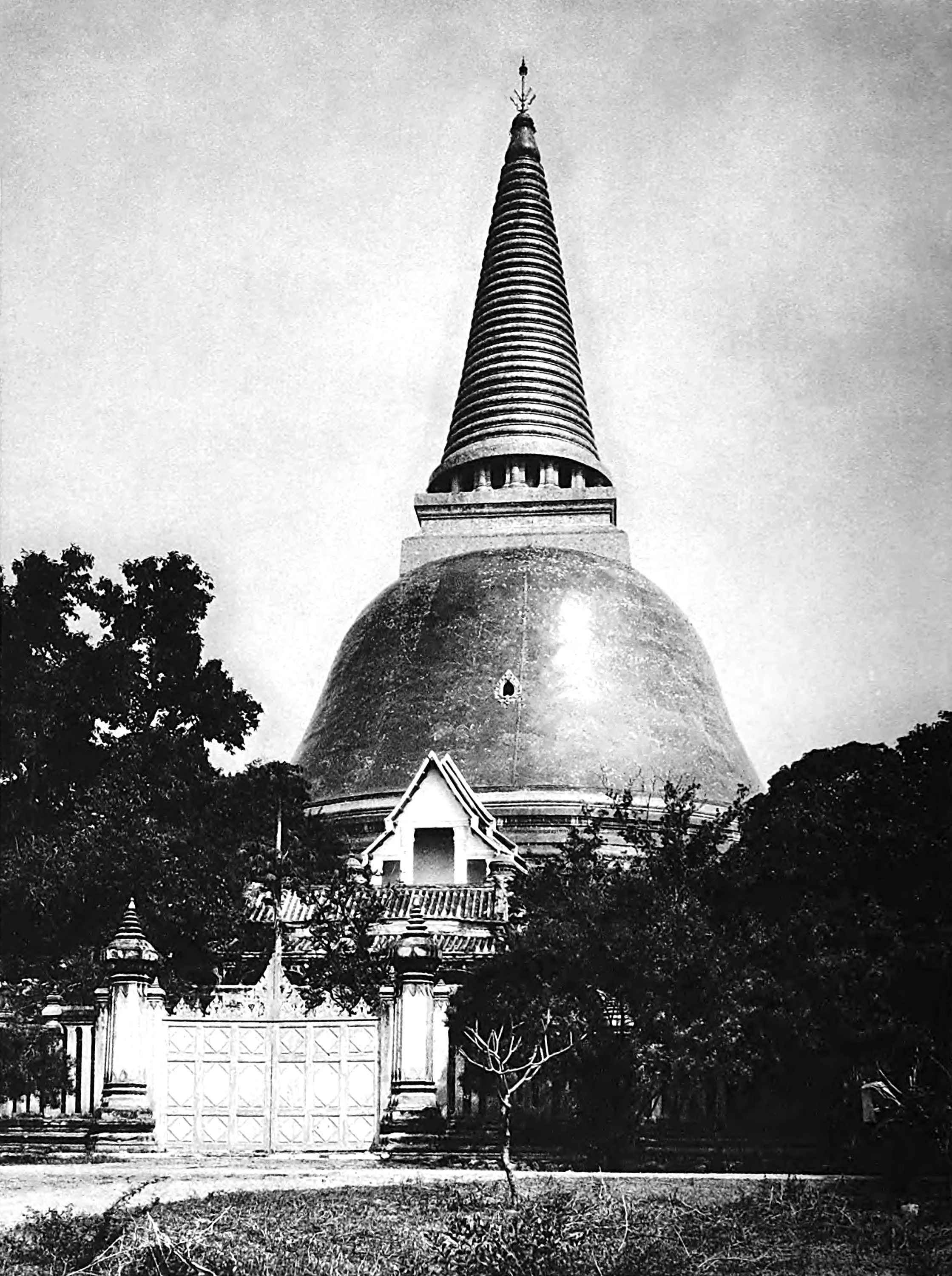 The big stupa Phra Palom in Nakon Patom