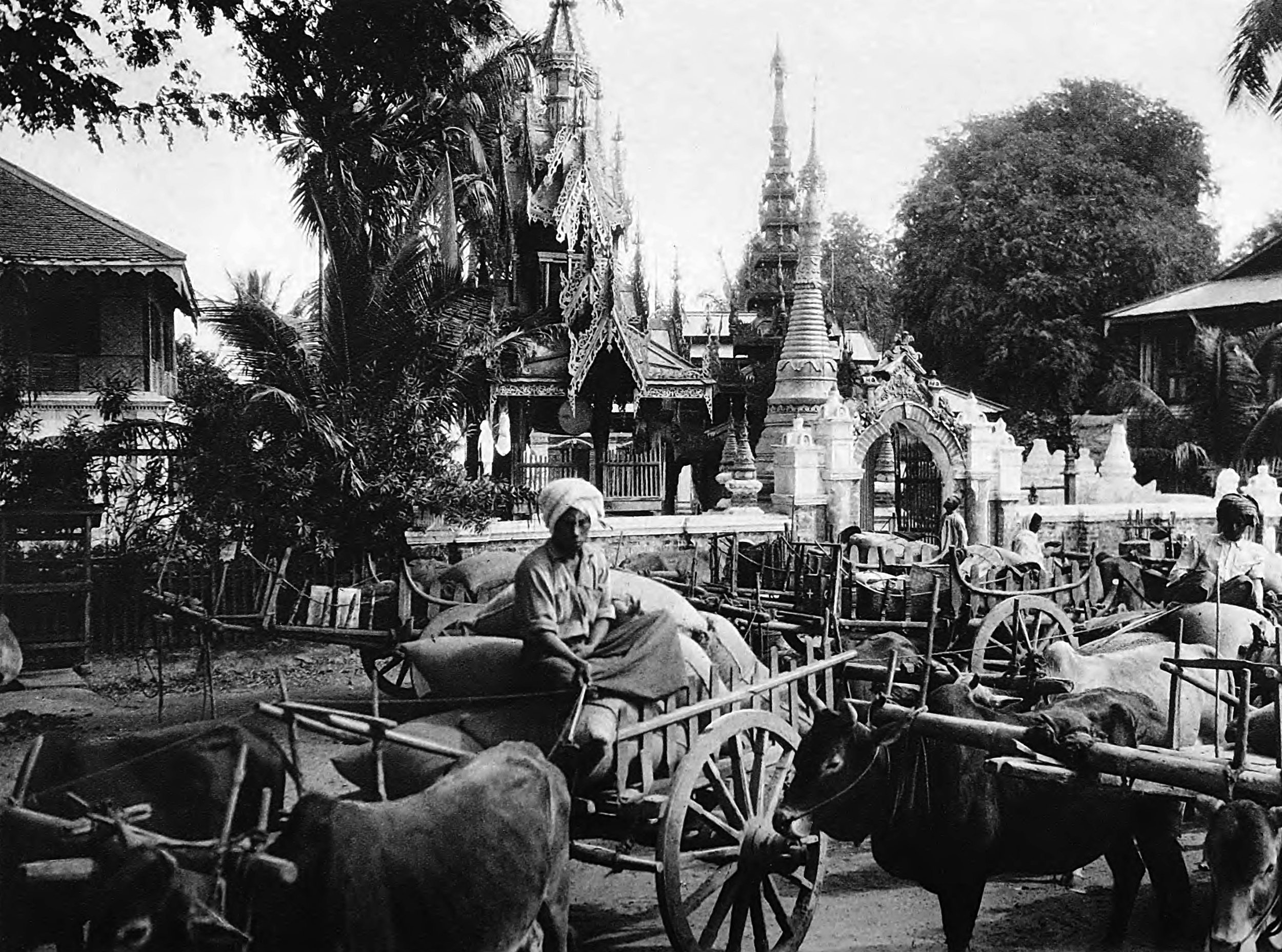 Monywa, Ox-carts near a pagoda