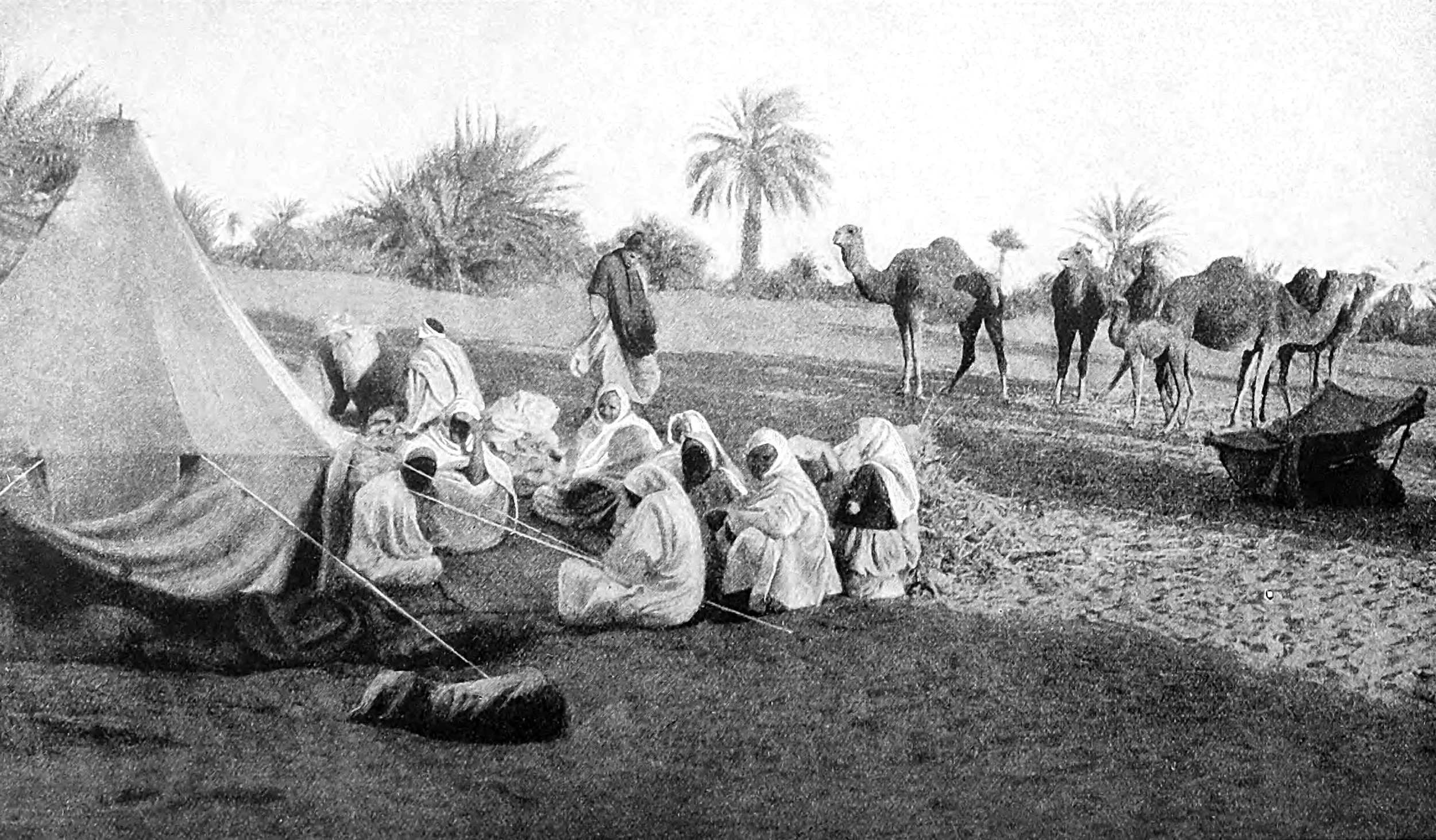 Camp at one of the Oases of Kufra