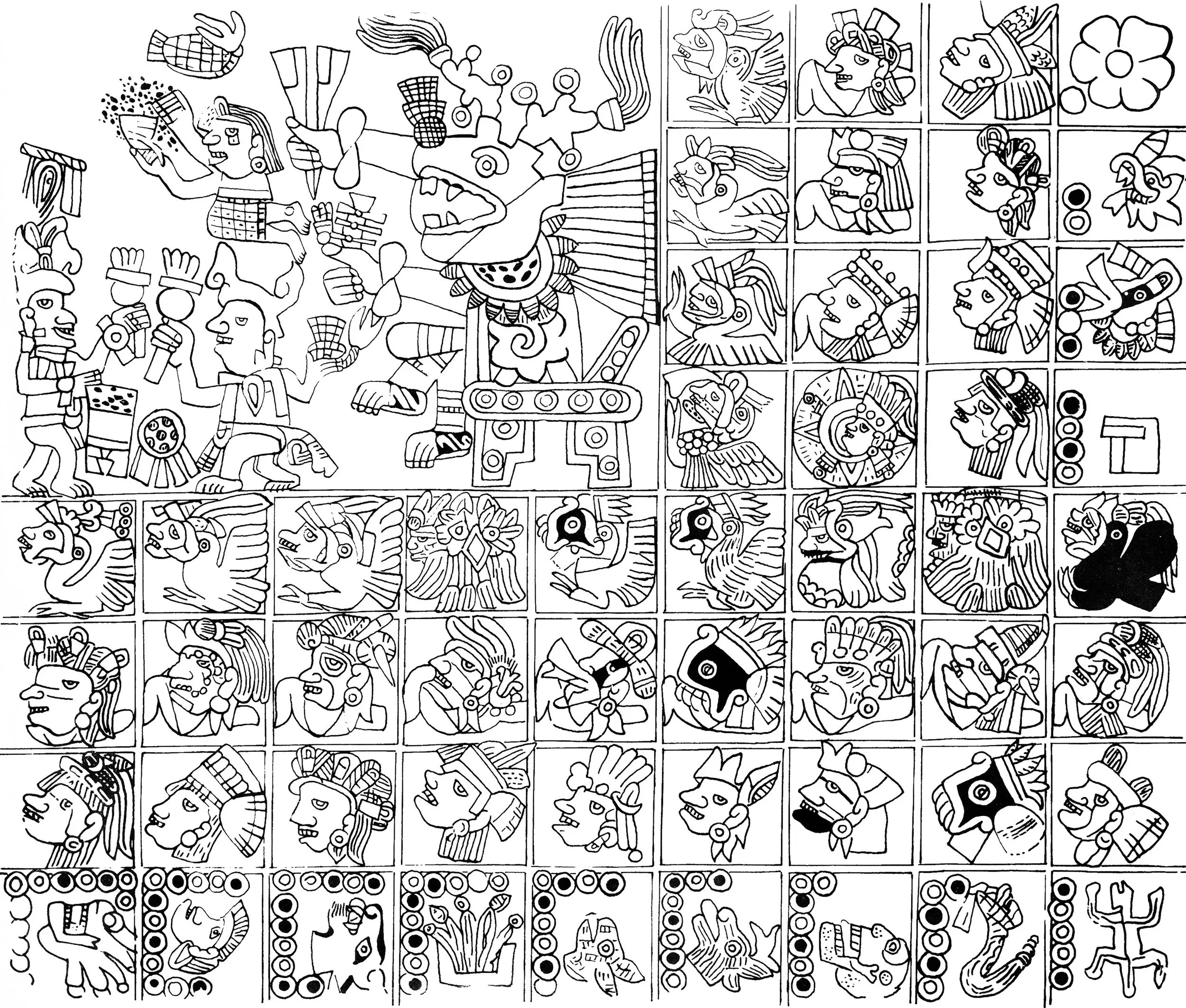 20