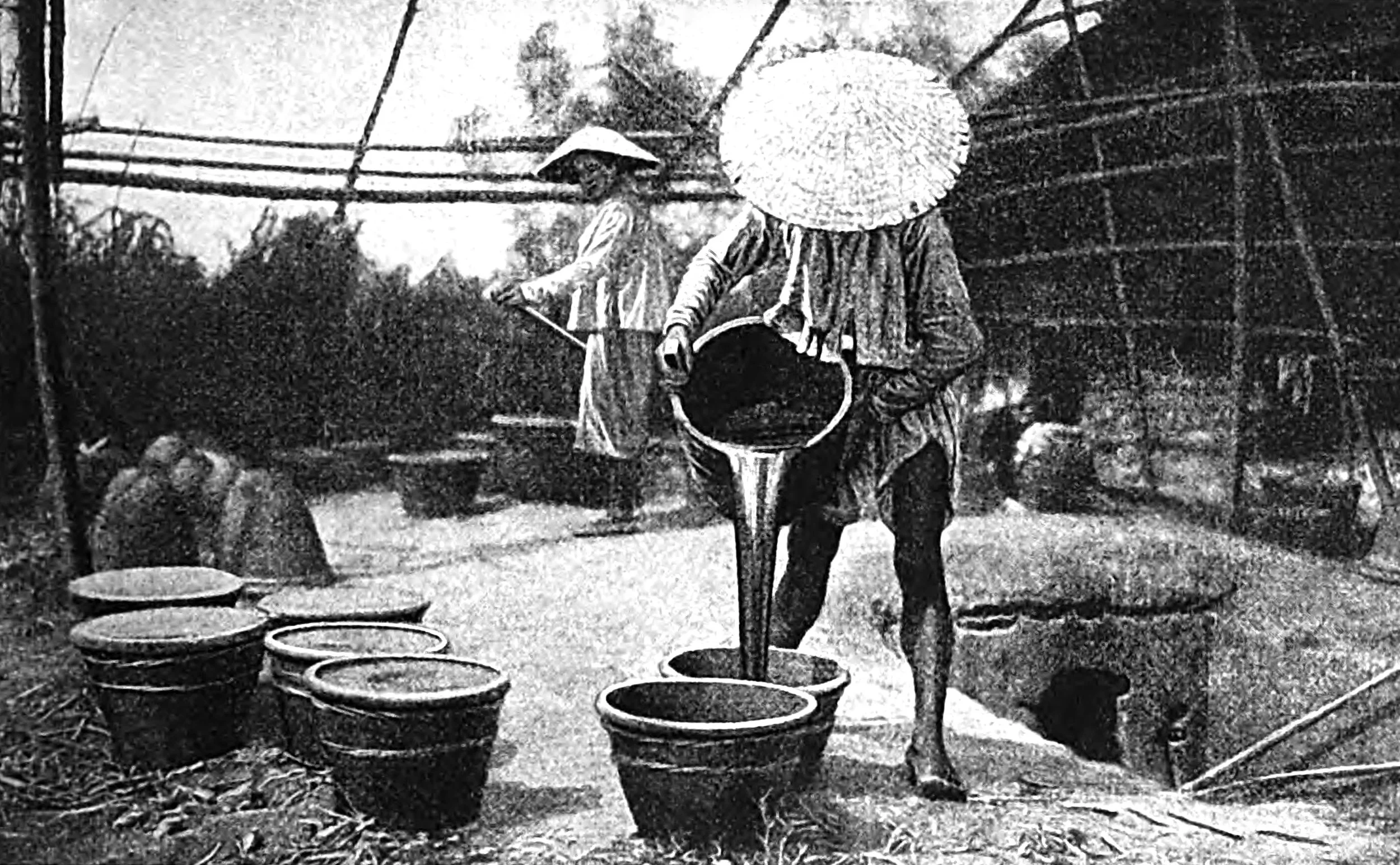 Pouring the syrup into earthenware pots for crystallization