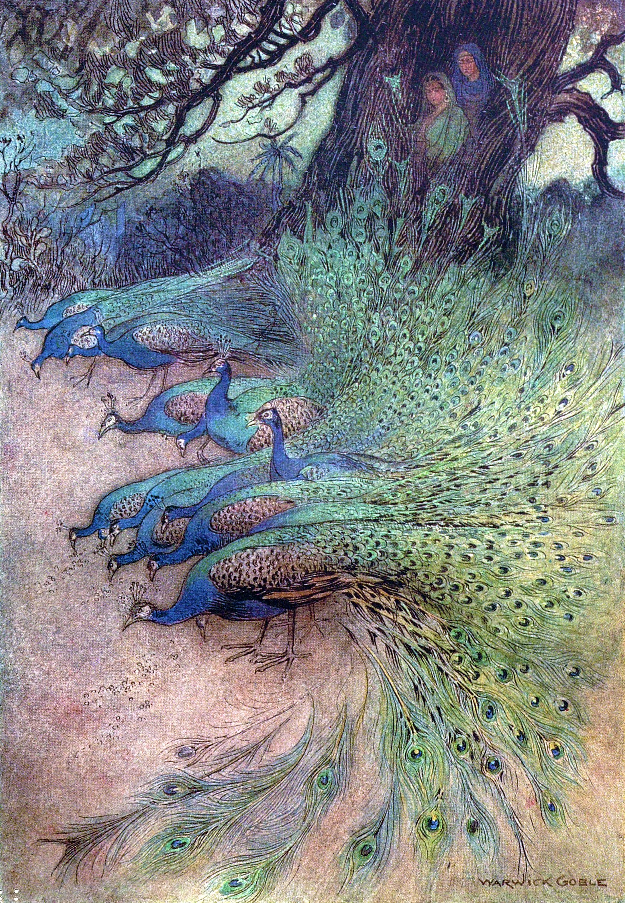 Hundreds of peacocks of gorgeous plumes came to the enbankments to eat the khai