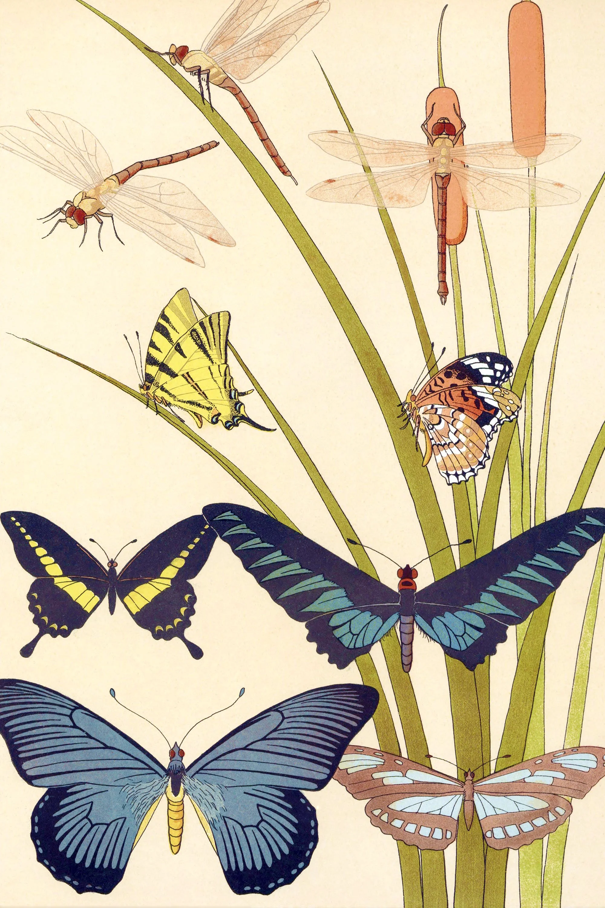 Animal Art Nouveau by M.E. Grasset (1897)