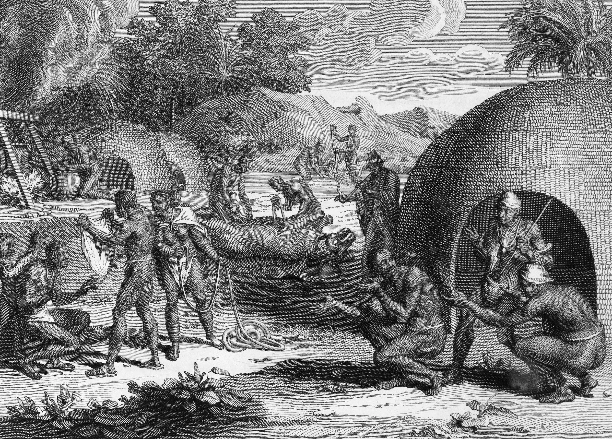 Religious Honors that the Kaffris pay to a cockroach