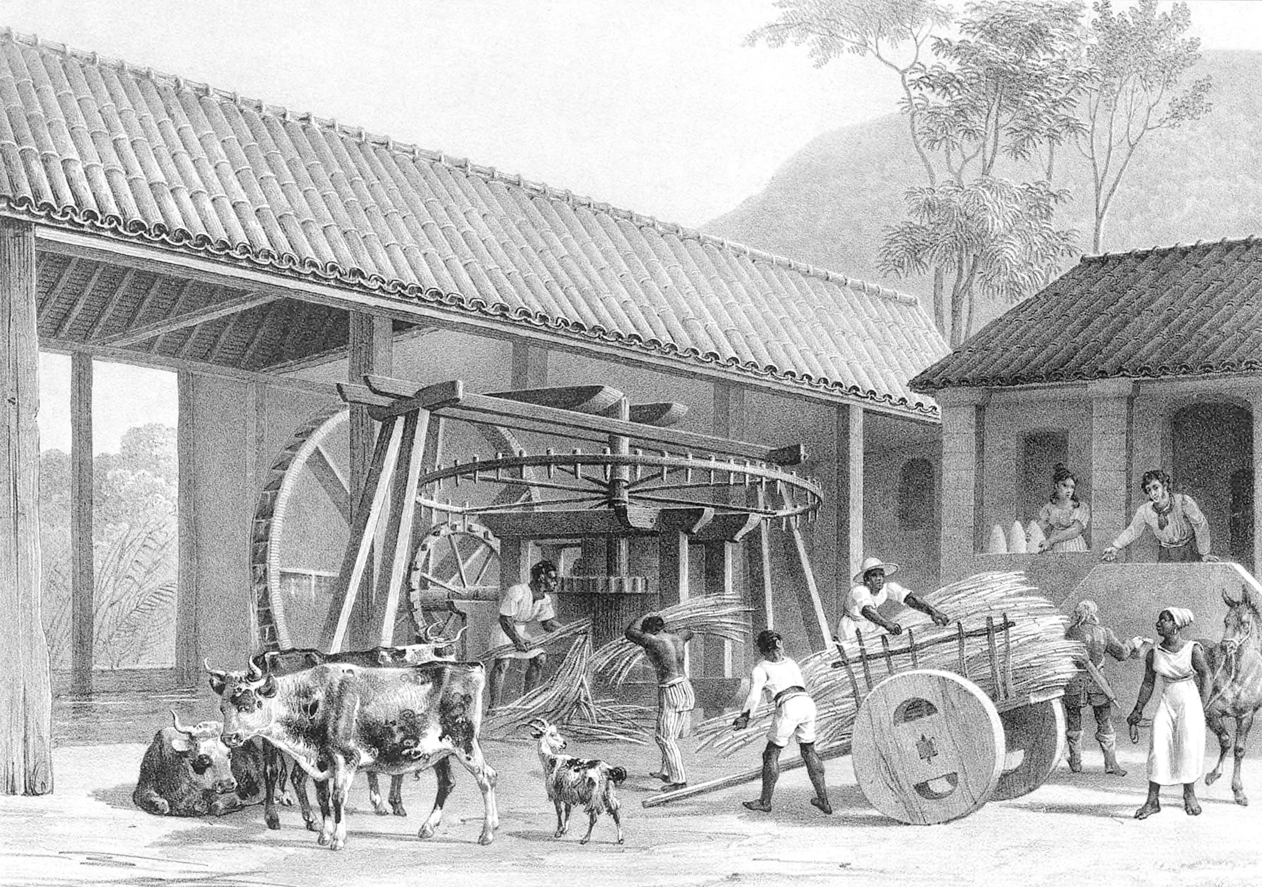 Sugar Mill