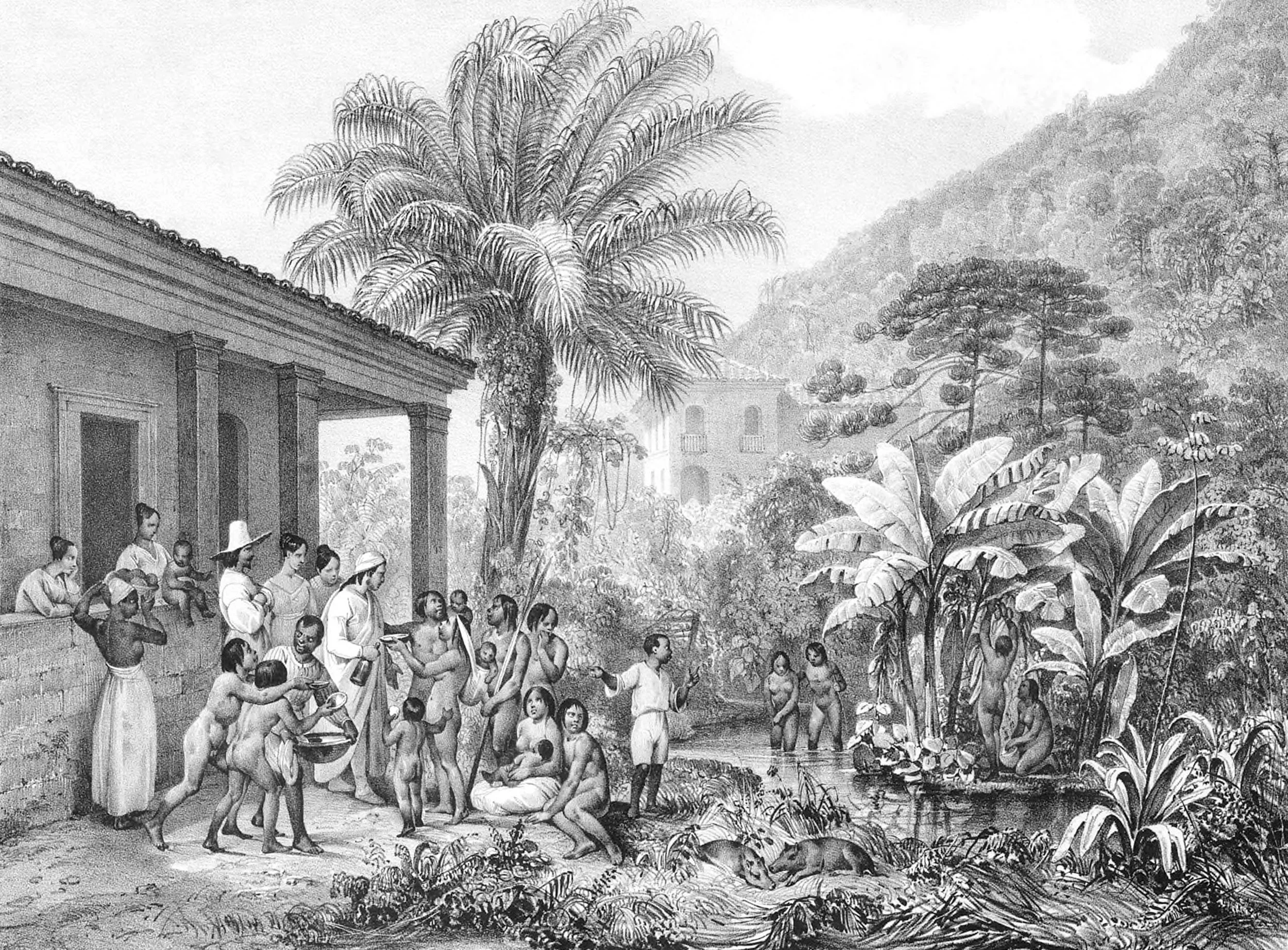 Native Visitors at a Plantation