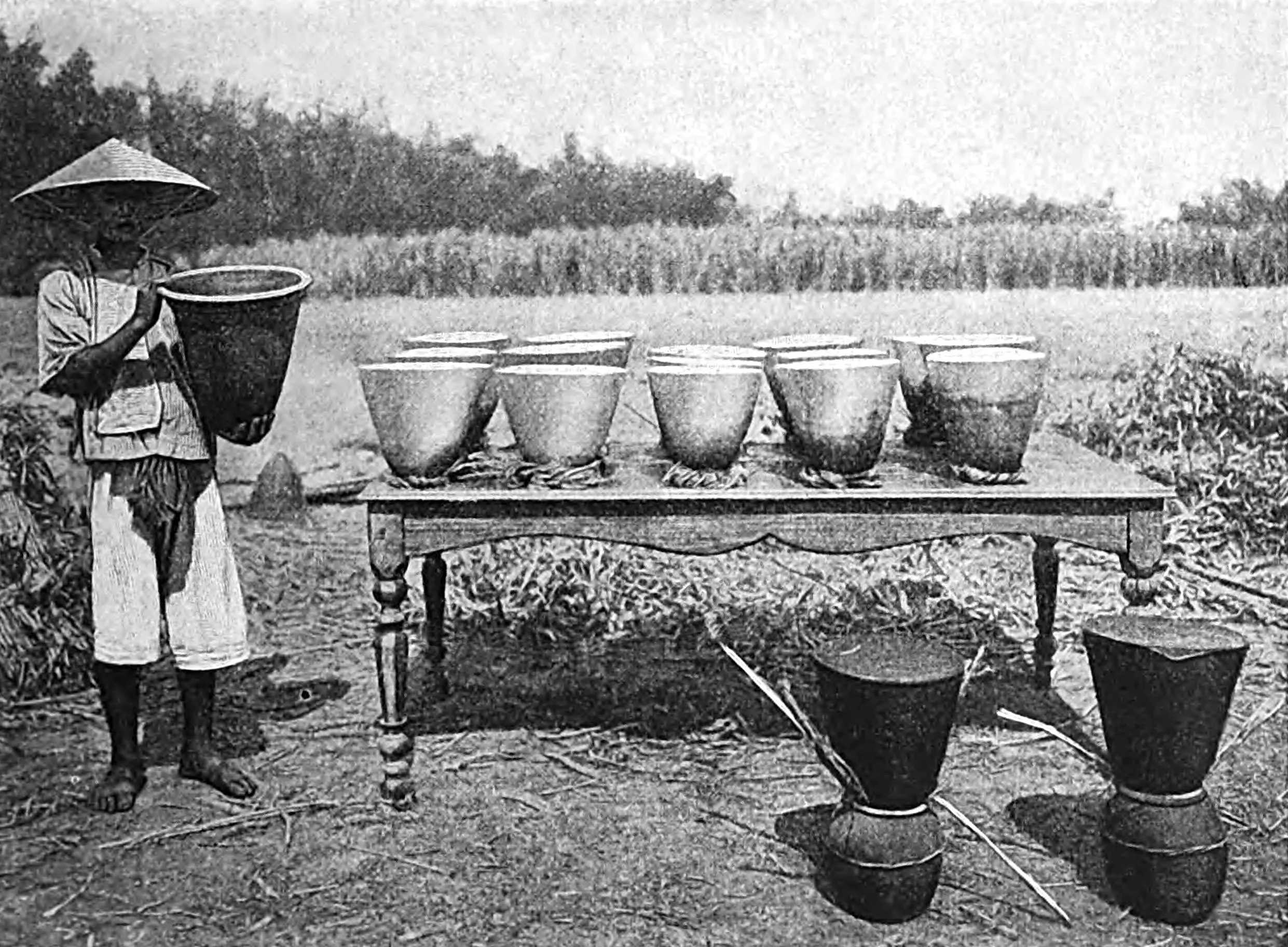 Exposing the wet sugar to the drying tropic sunshine