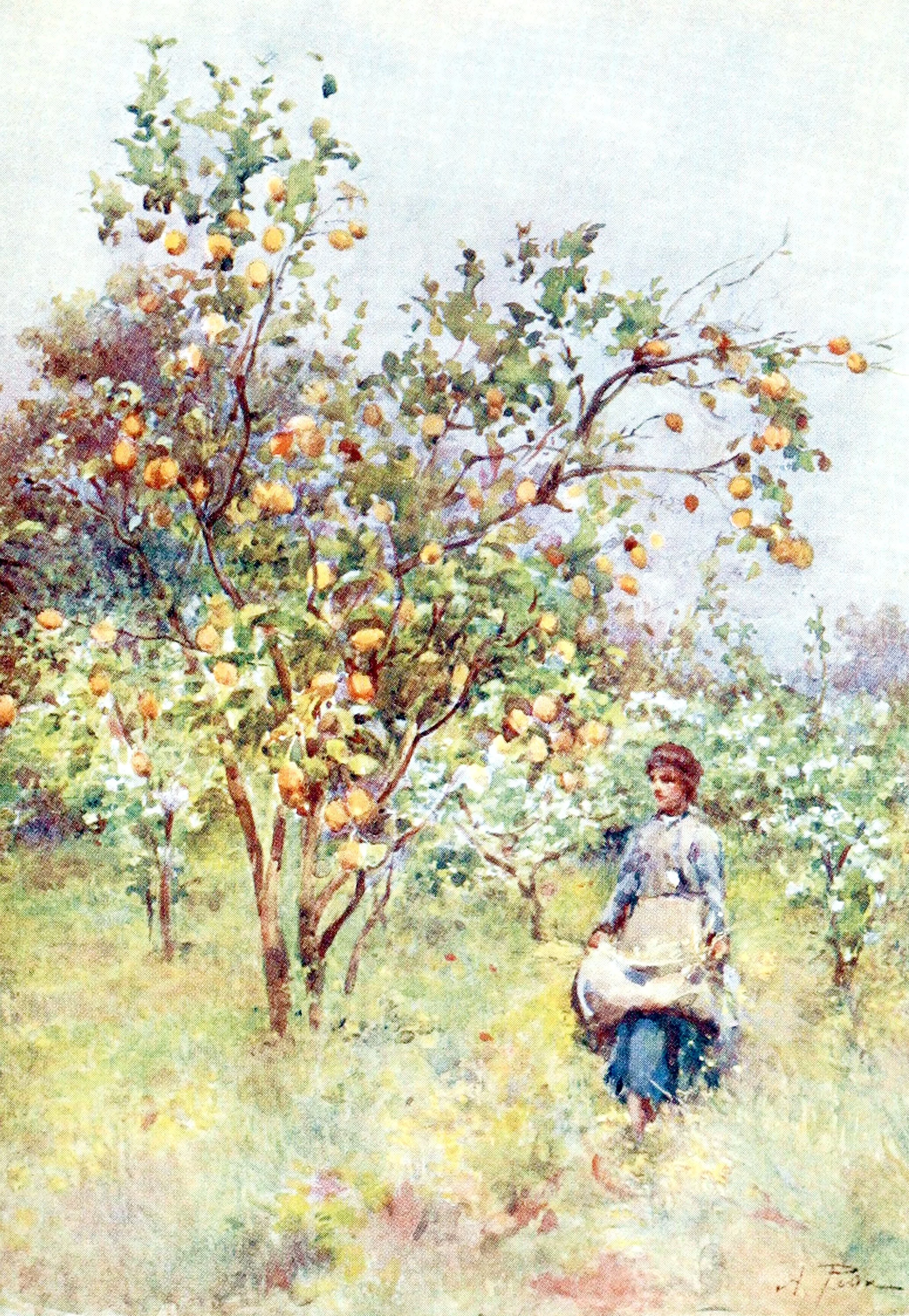Lemon-Trees, Spring