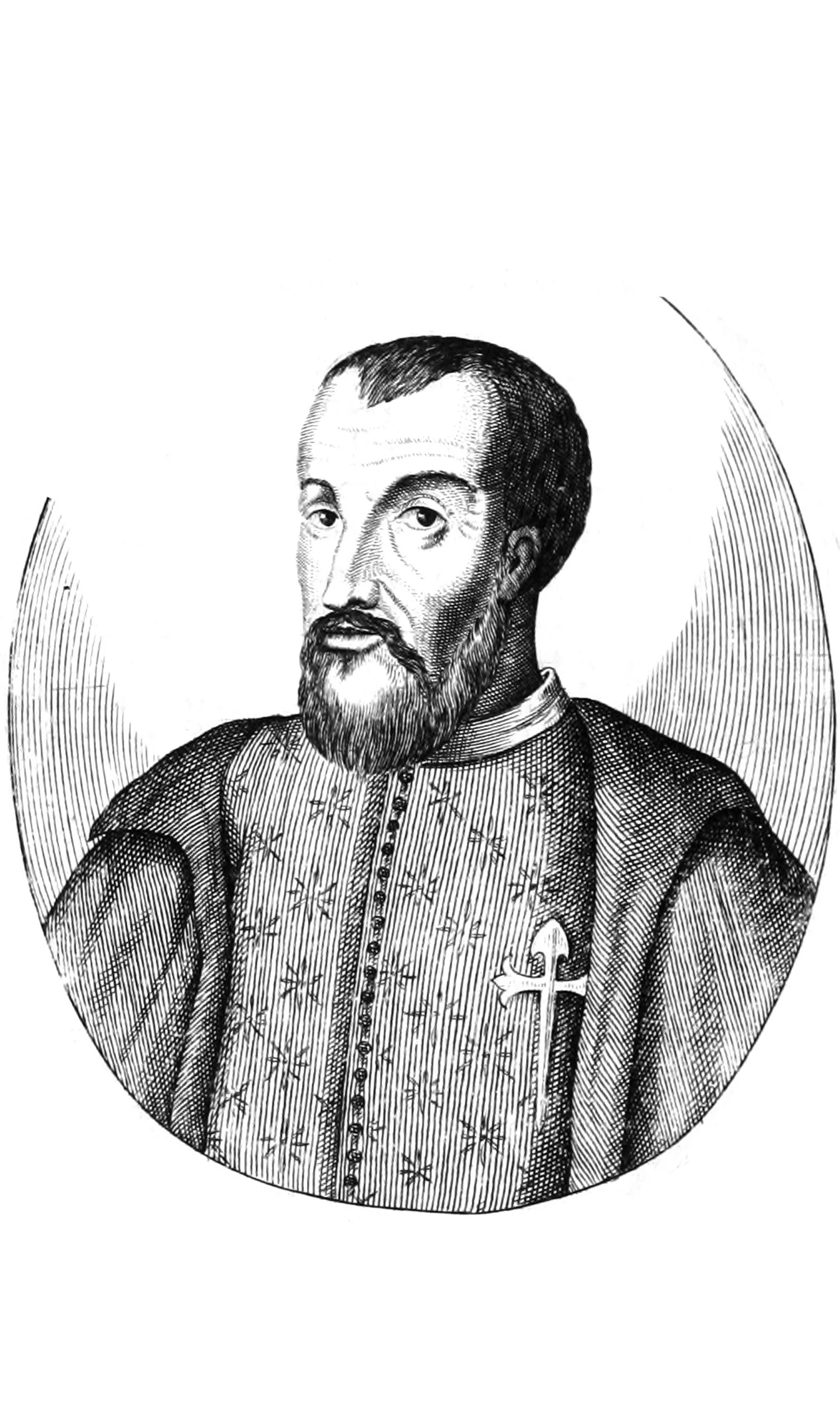 Captain Diego de Ordas del Reino de Leon