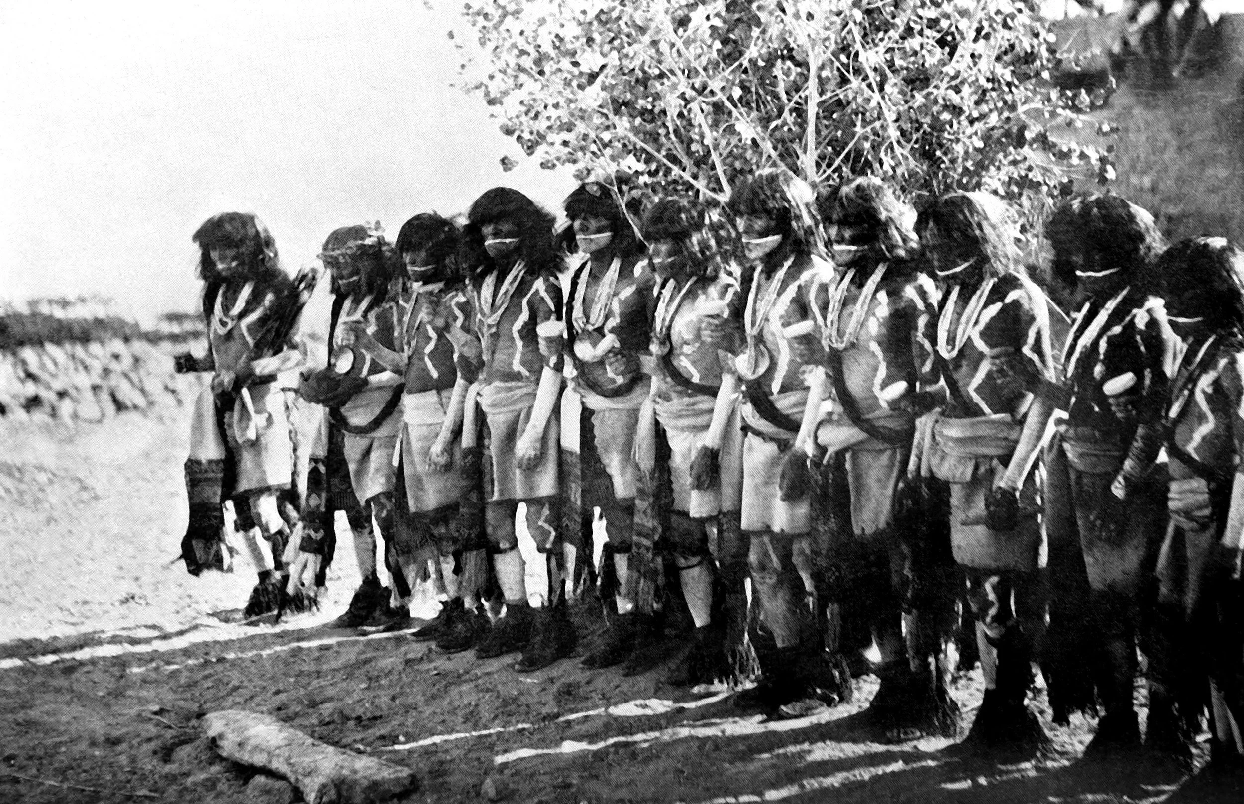 The Antelope dancers in line on the plaza (ninth day)