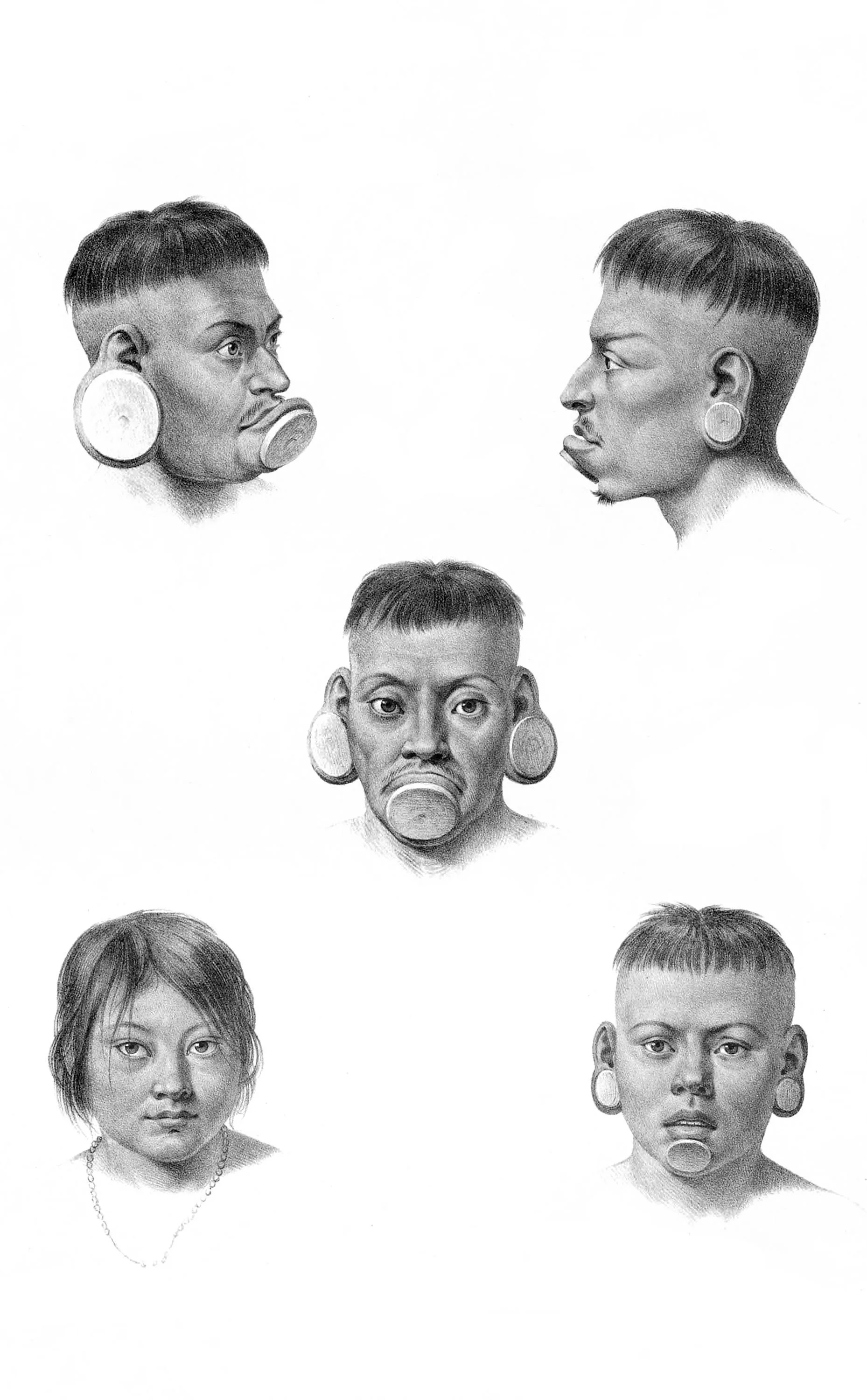 Botocudos