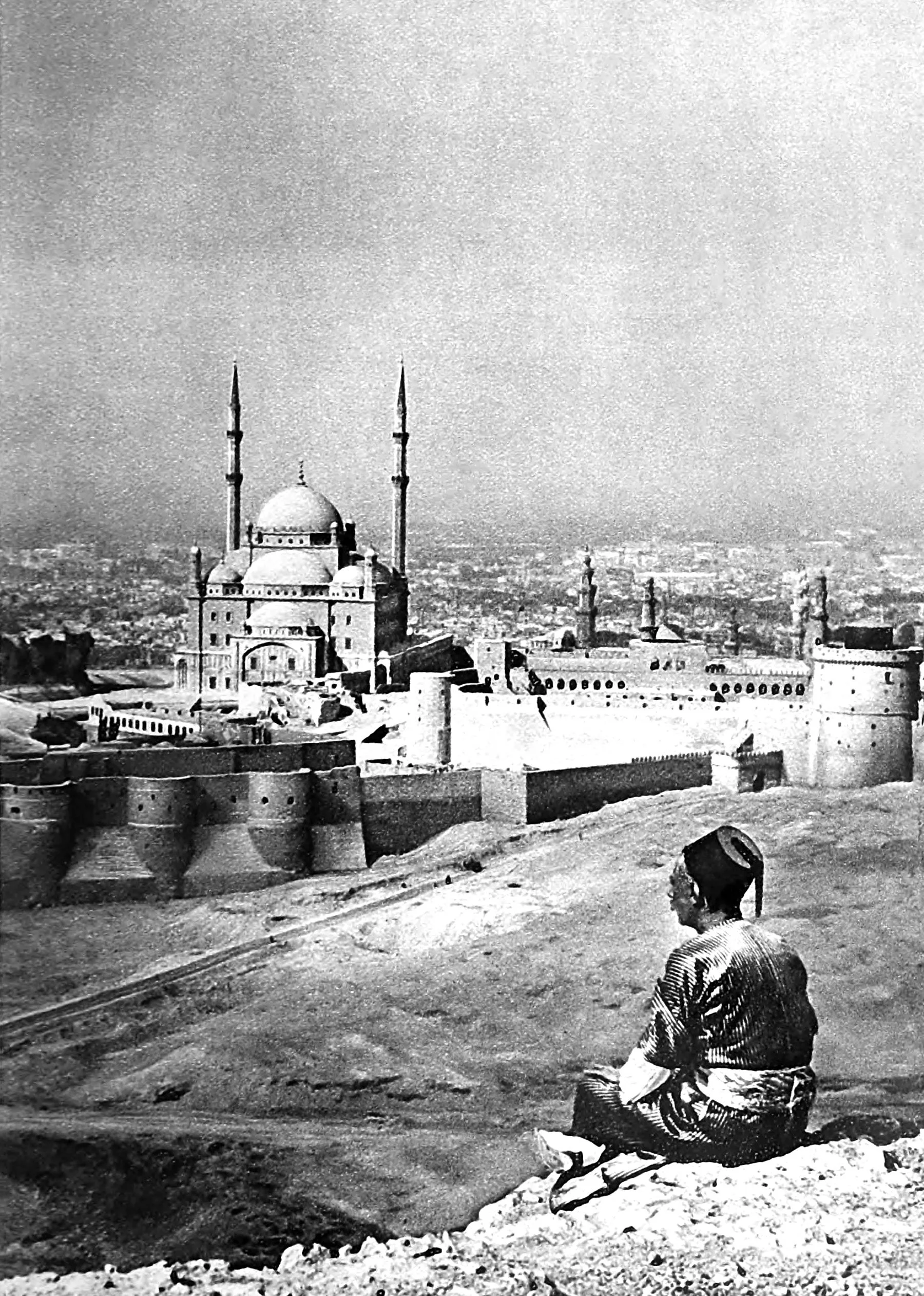 Saladin's Citadel