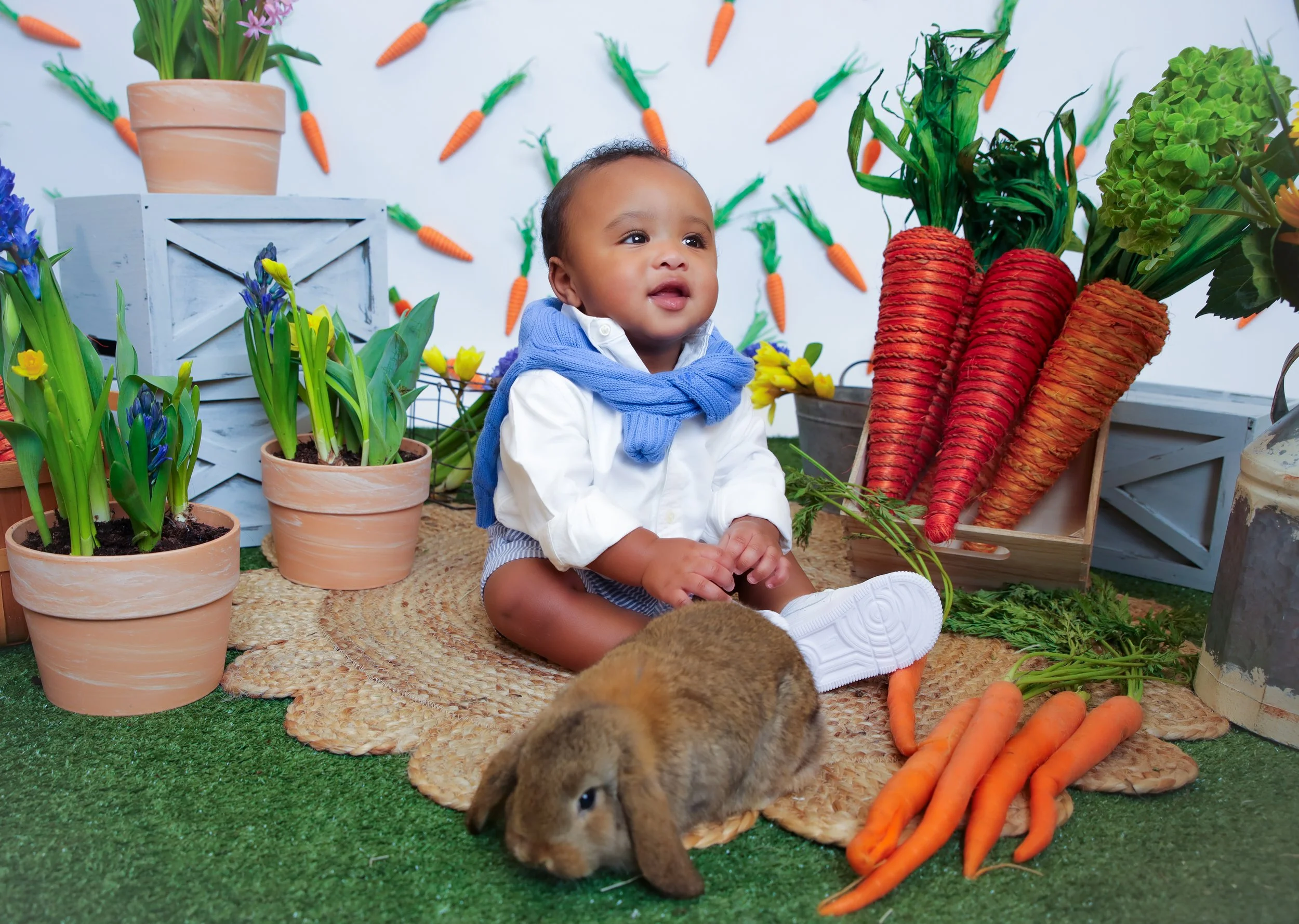 A young child sitting among potted plants and carrots, with a rabbit nearby, in a garden-themed setting with carrot decorations on the wall behind.