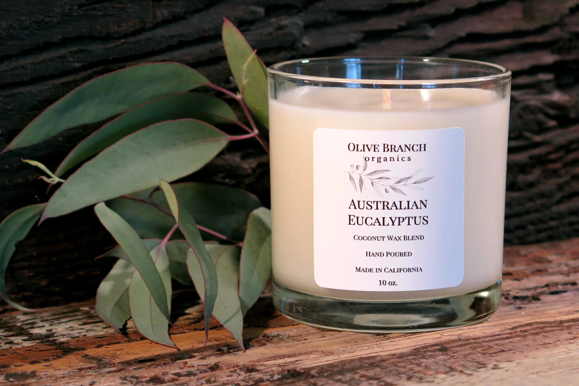 Australian Eucalyptus