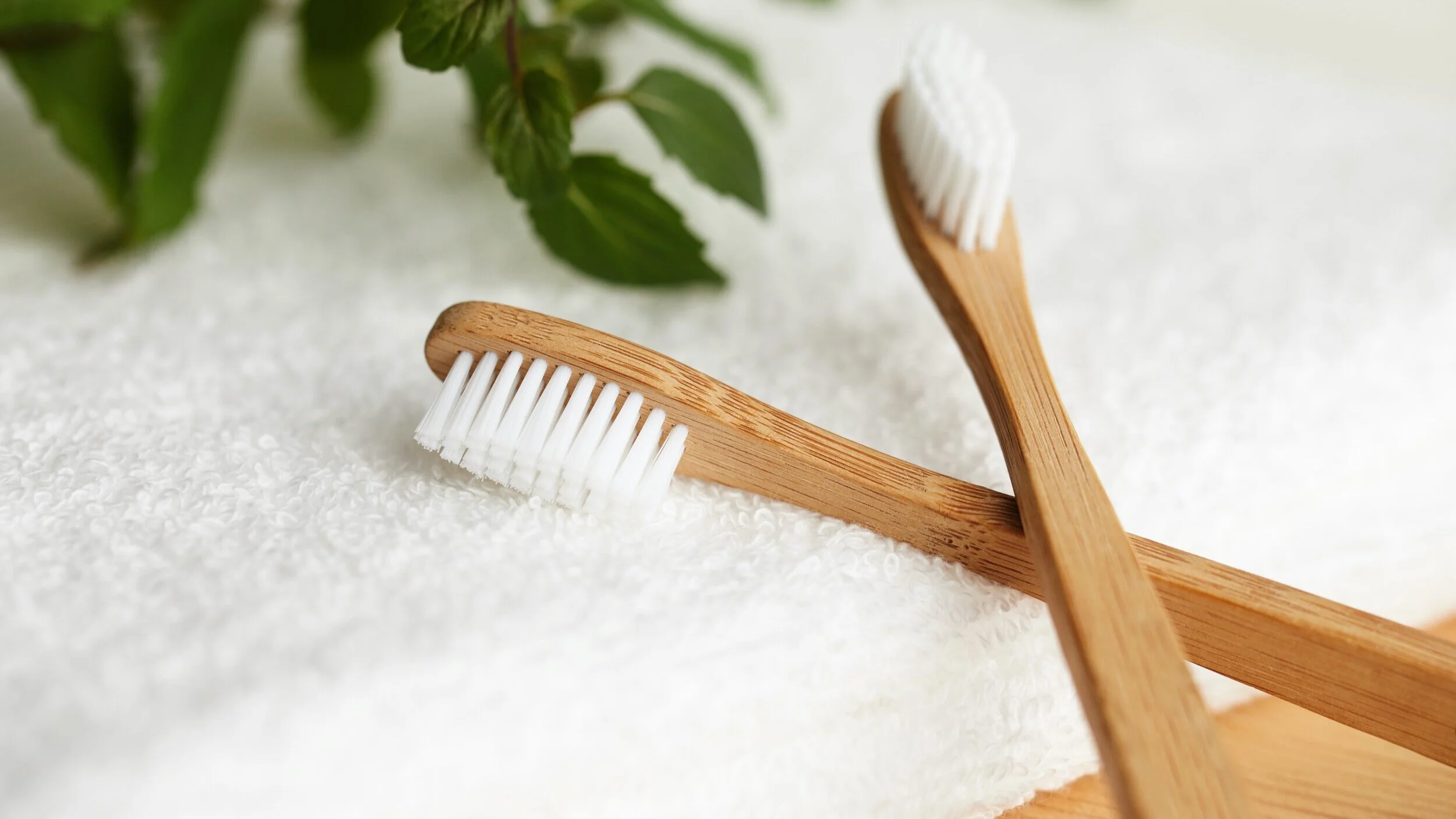 AdobeStock_245915139.jpg