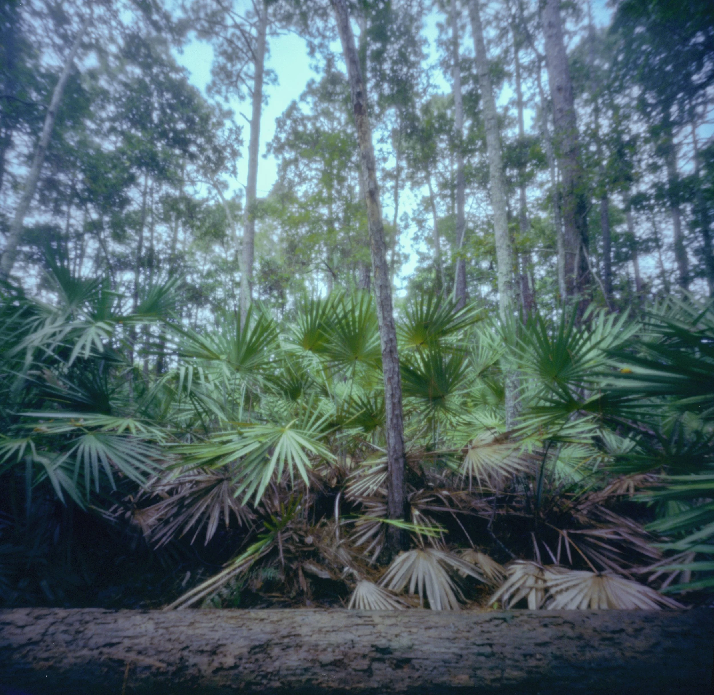 Pinhole_6.jpg