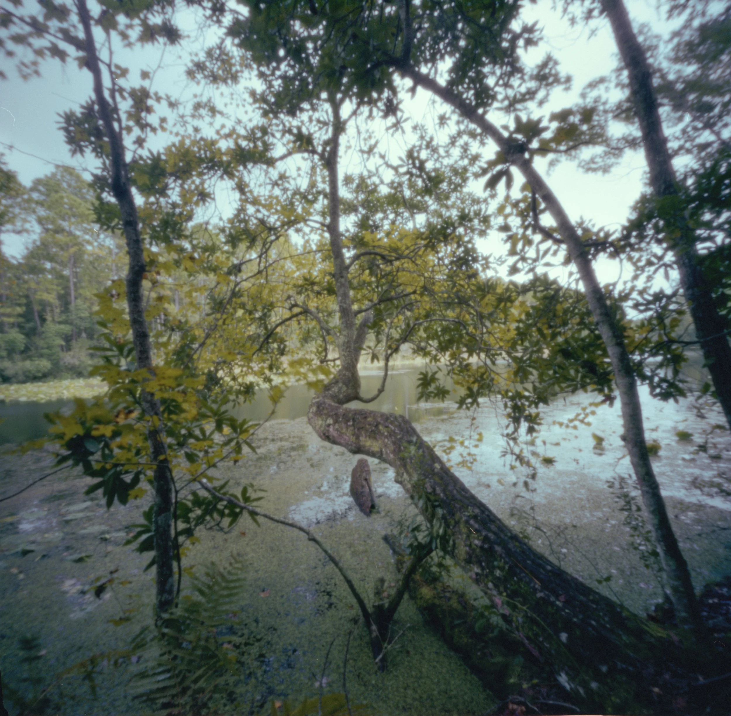 Pinhole_8.jpg