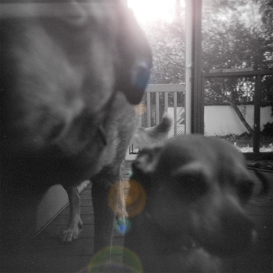 Lurking Lens Flare.png