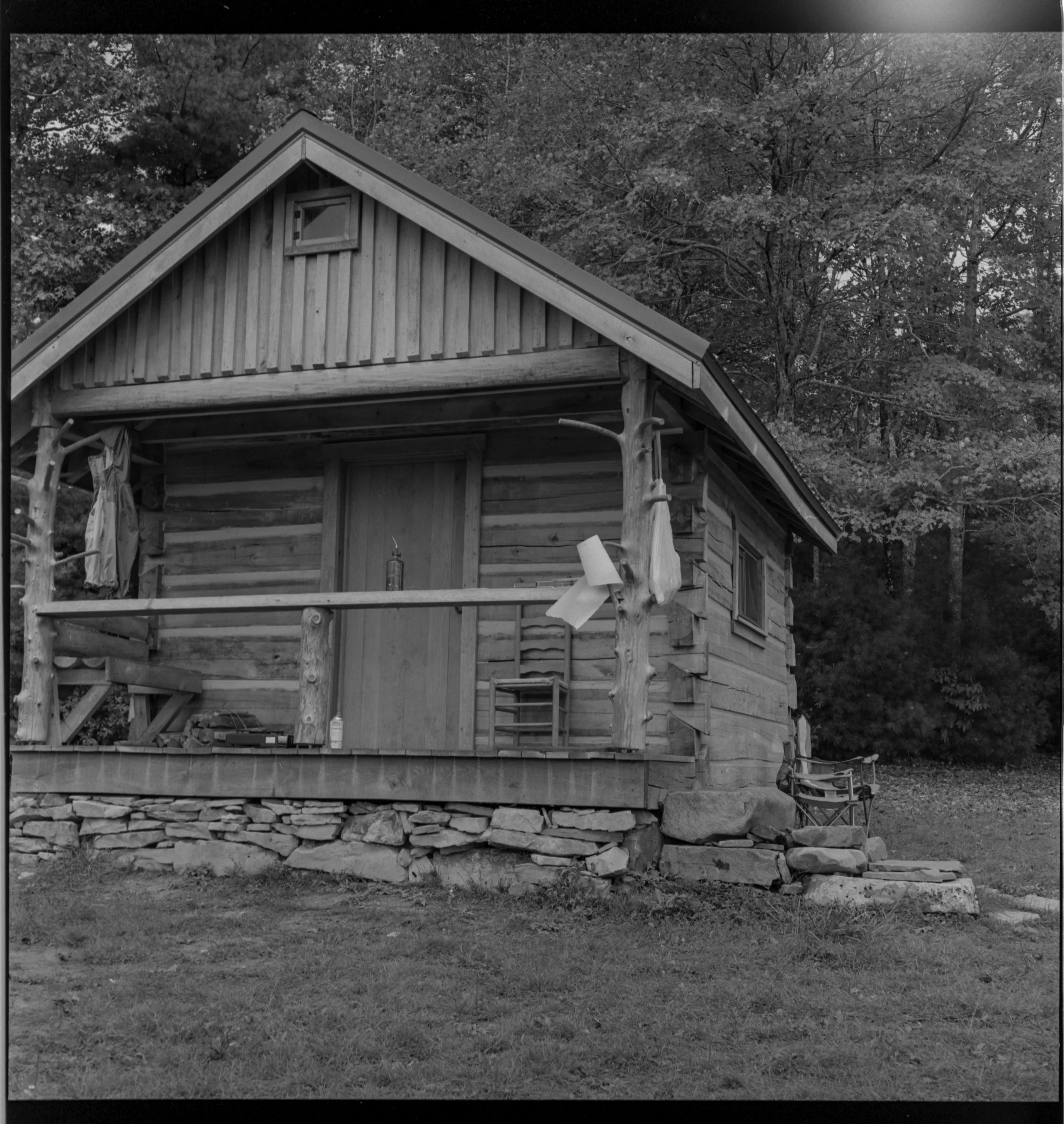 Cabin in the Woods.jpg