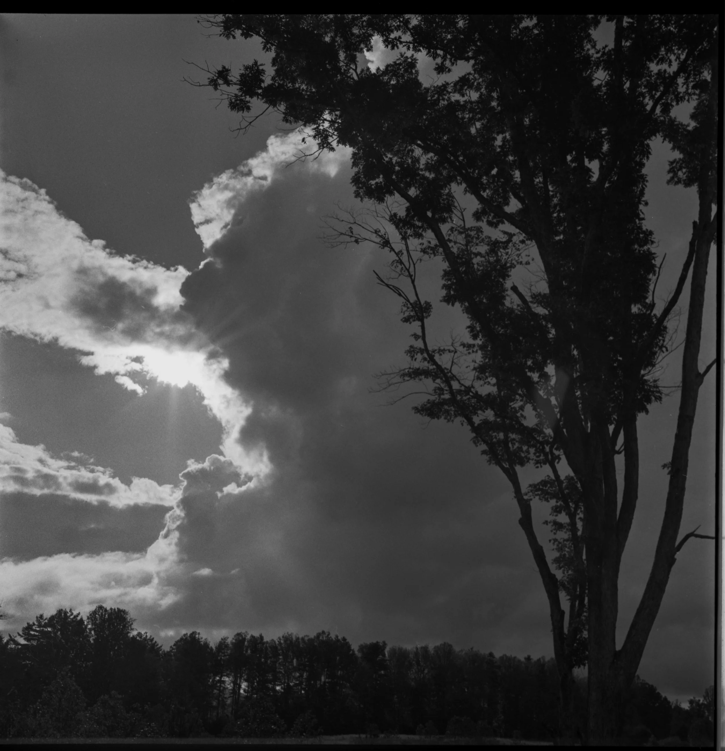 Storm's Coming.jpg