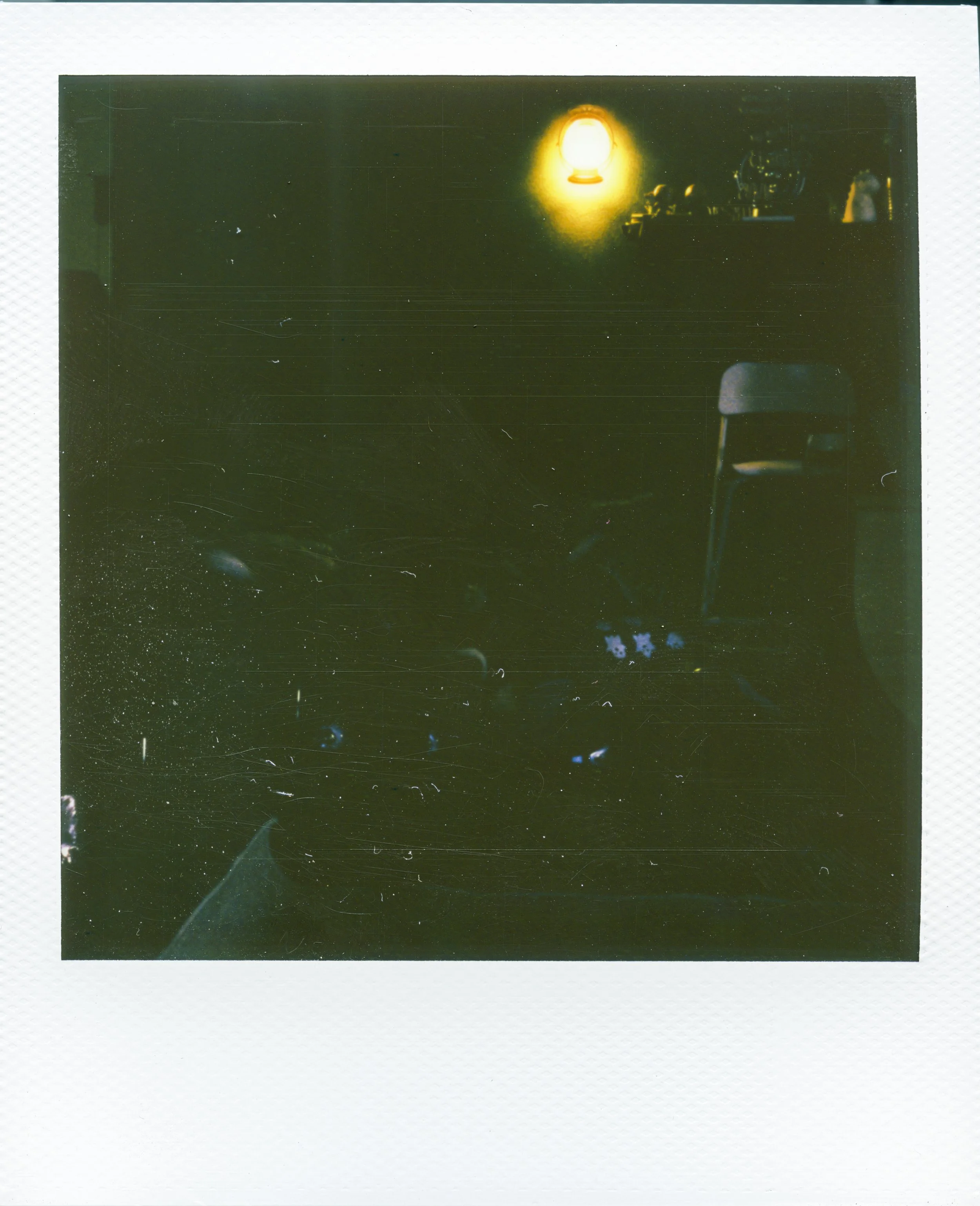 Polaroid008.jpg